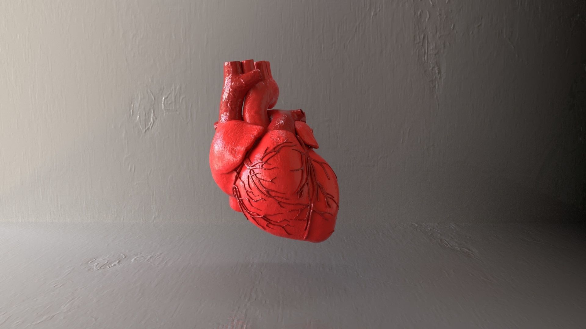 Realistic Human Heart 3D Model V2 Organ  Low-poly 3D model_2