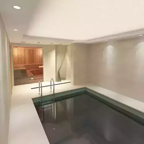 Pool and sauna 