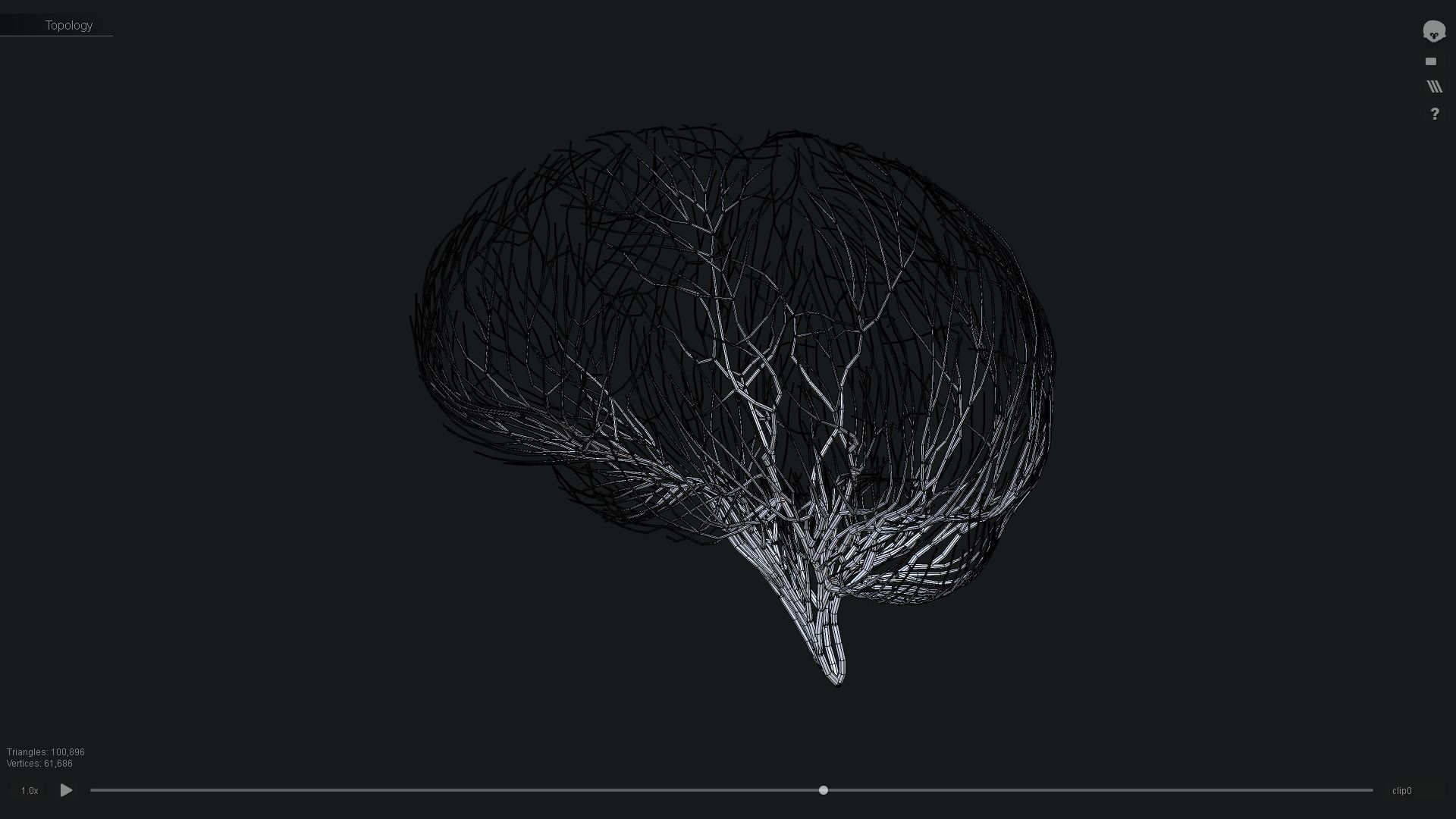 Human brain made out of lines Unrolling growing animation 3D model_4