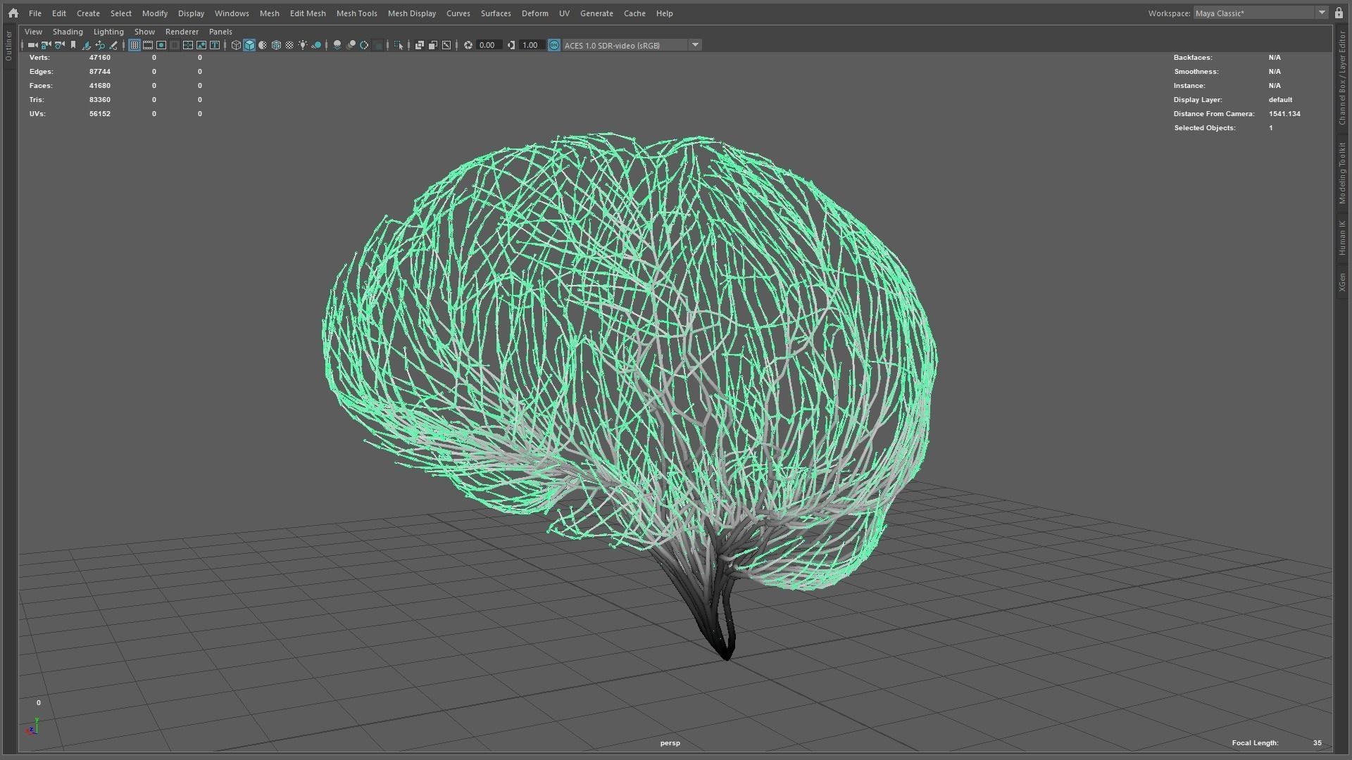 Human brain made out of lines Unrolling growing animation 3D model_11