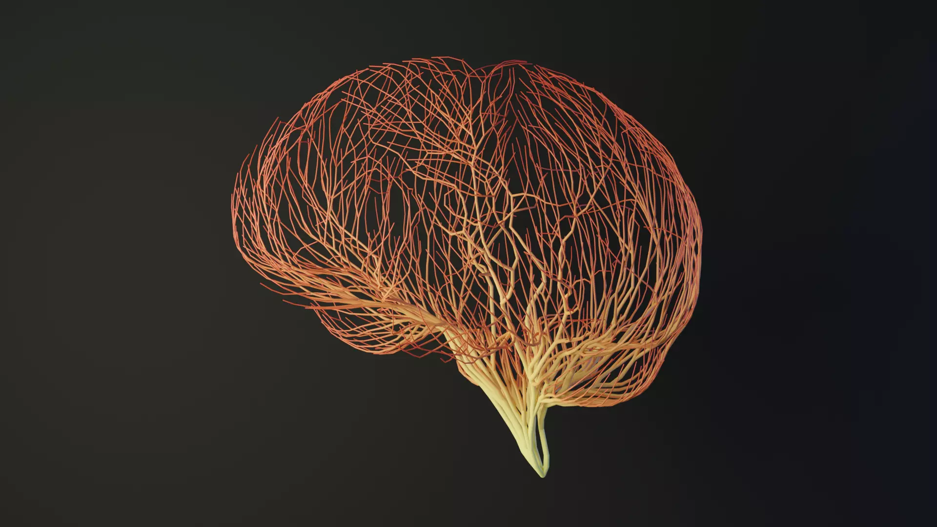 Human brain made out of lines Unrolling growing animation 3D model_0