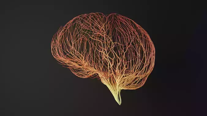 Human brain made out of lines Unrolling growing animation 3D model