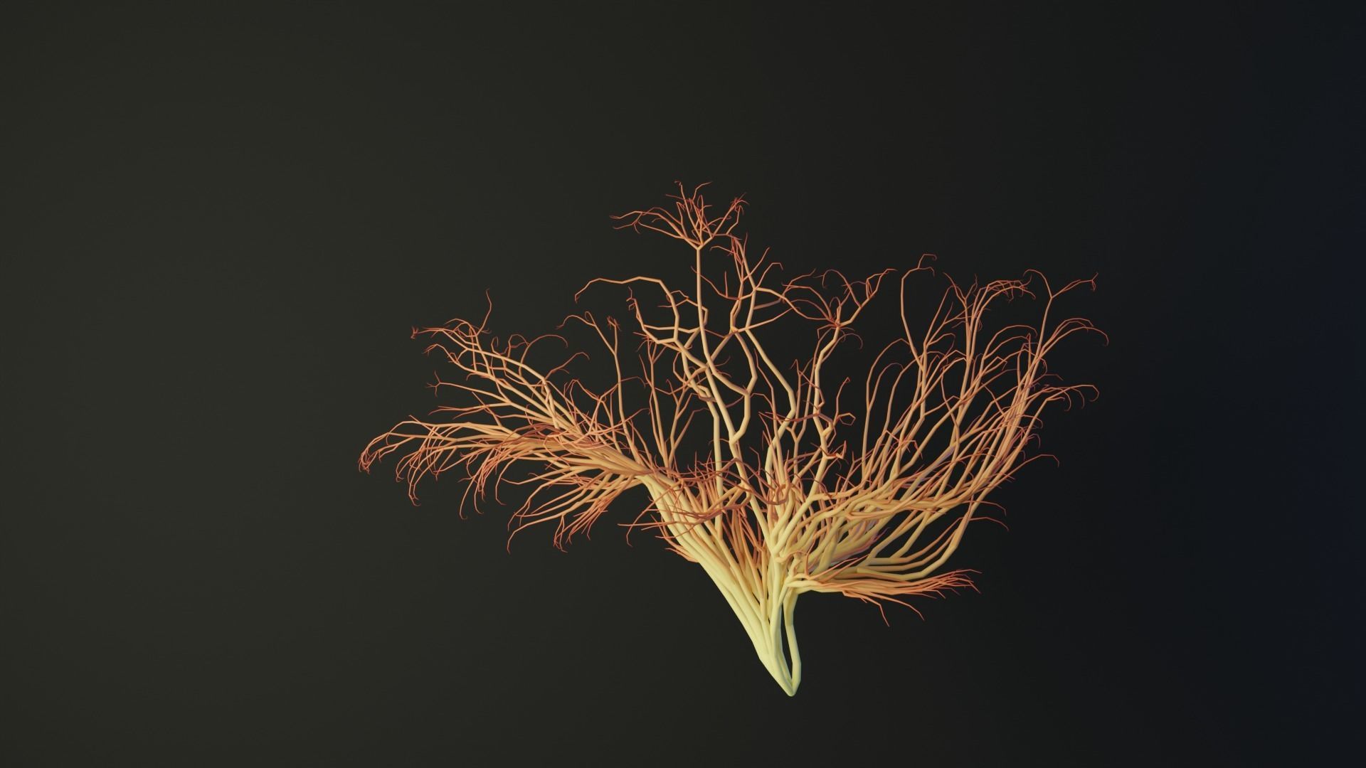 Human brain made out of lines Unrolling growing animation 3D model_3