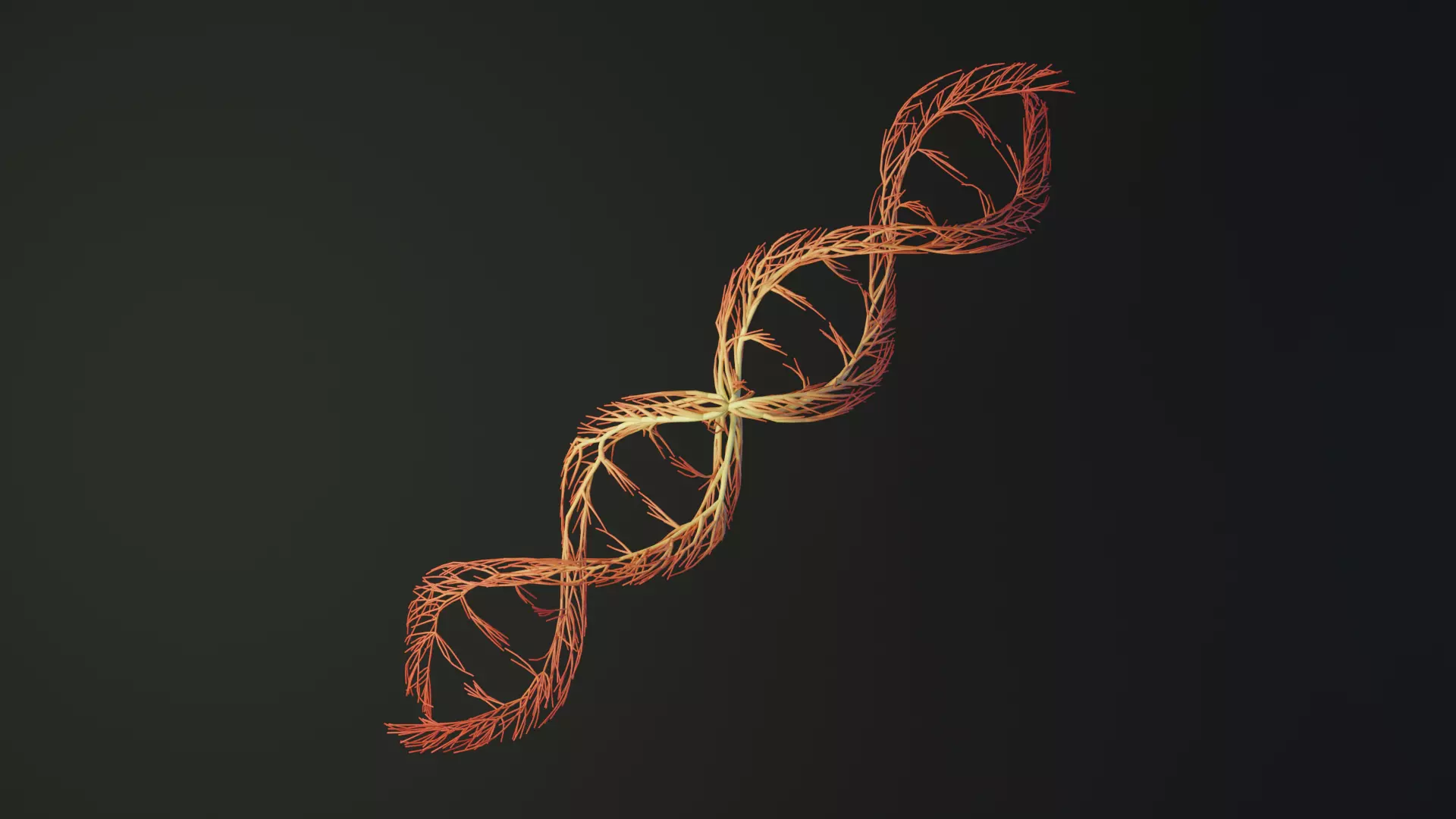Human DNA made out of lines Unrolling growing animation 3D model_0