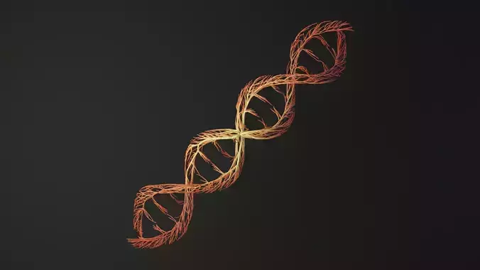 Human DNA made out of lines Unrolling growing animation 3D model