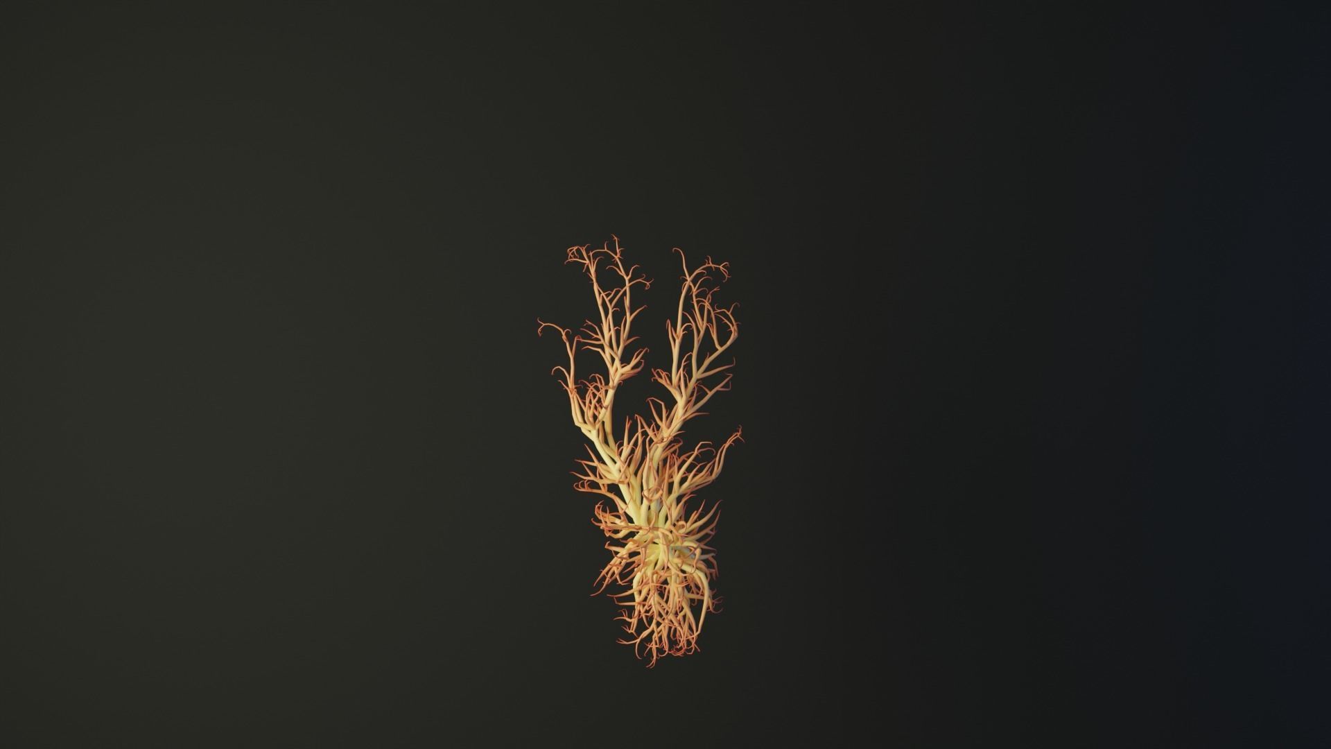 Human feet made out of lines Unrolling growing animation 3D model_3