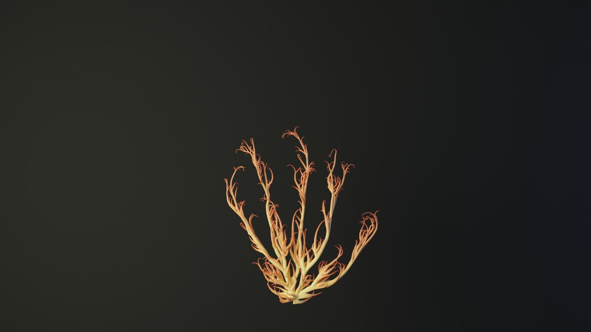 Human hand made out of lines Unrolling growing animation 3D model_3