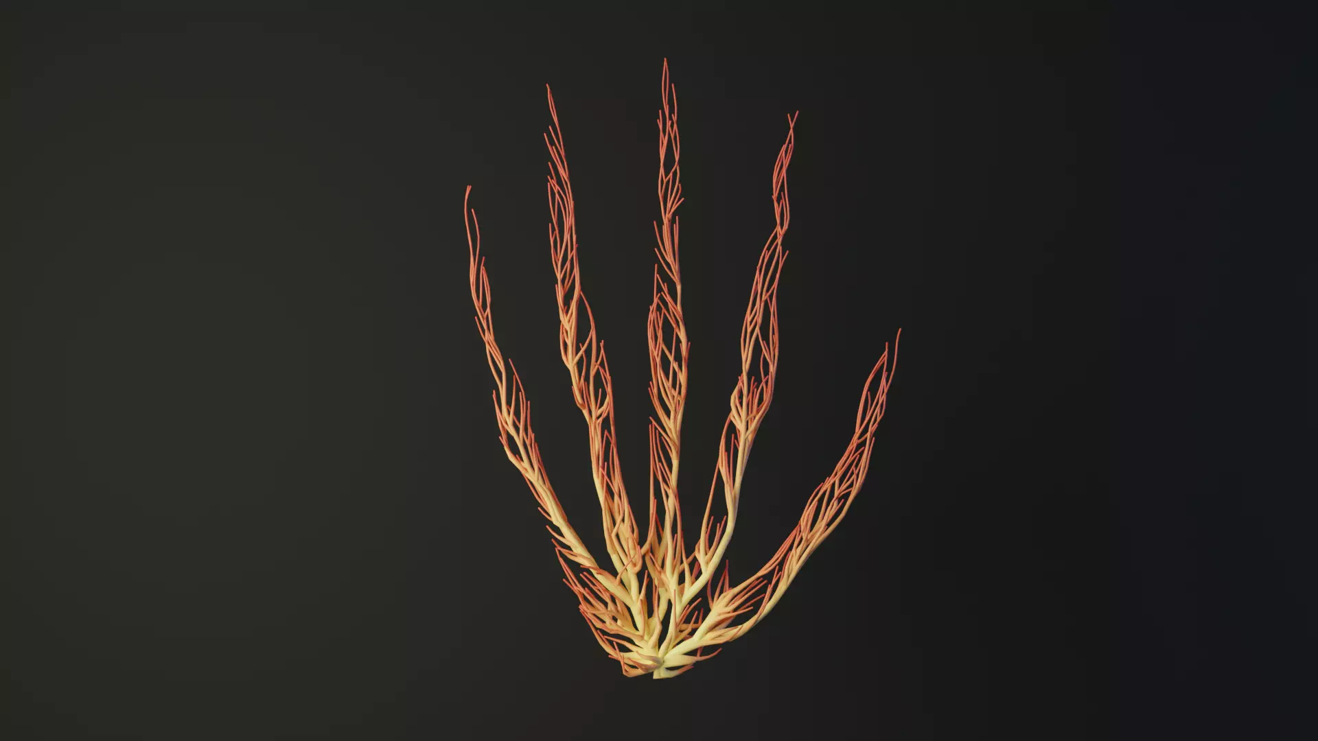 Human hand made out of lines Unrolling growing animation 3D model_0