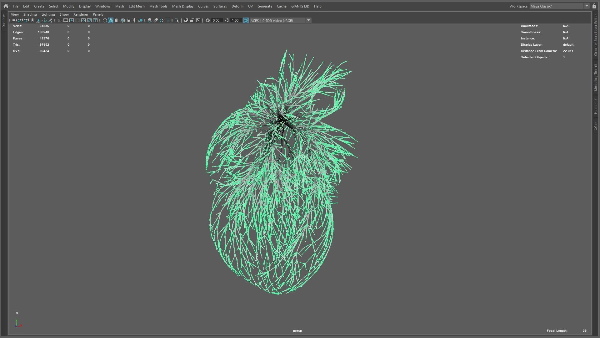Human heart made out of lines Unrolling growing animation 3D model_11