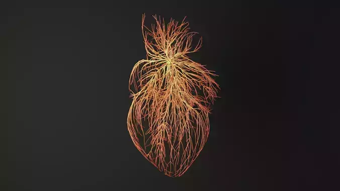 Human heart made out of lines Unrolling growing animation 3D model Human heart made out of lines Unrolling growing animation 3D model