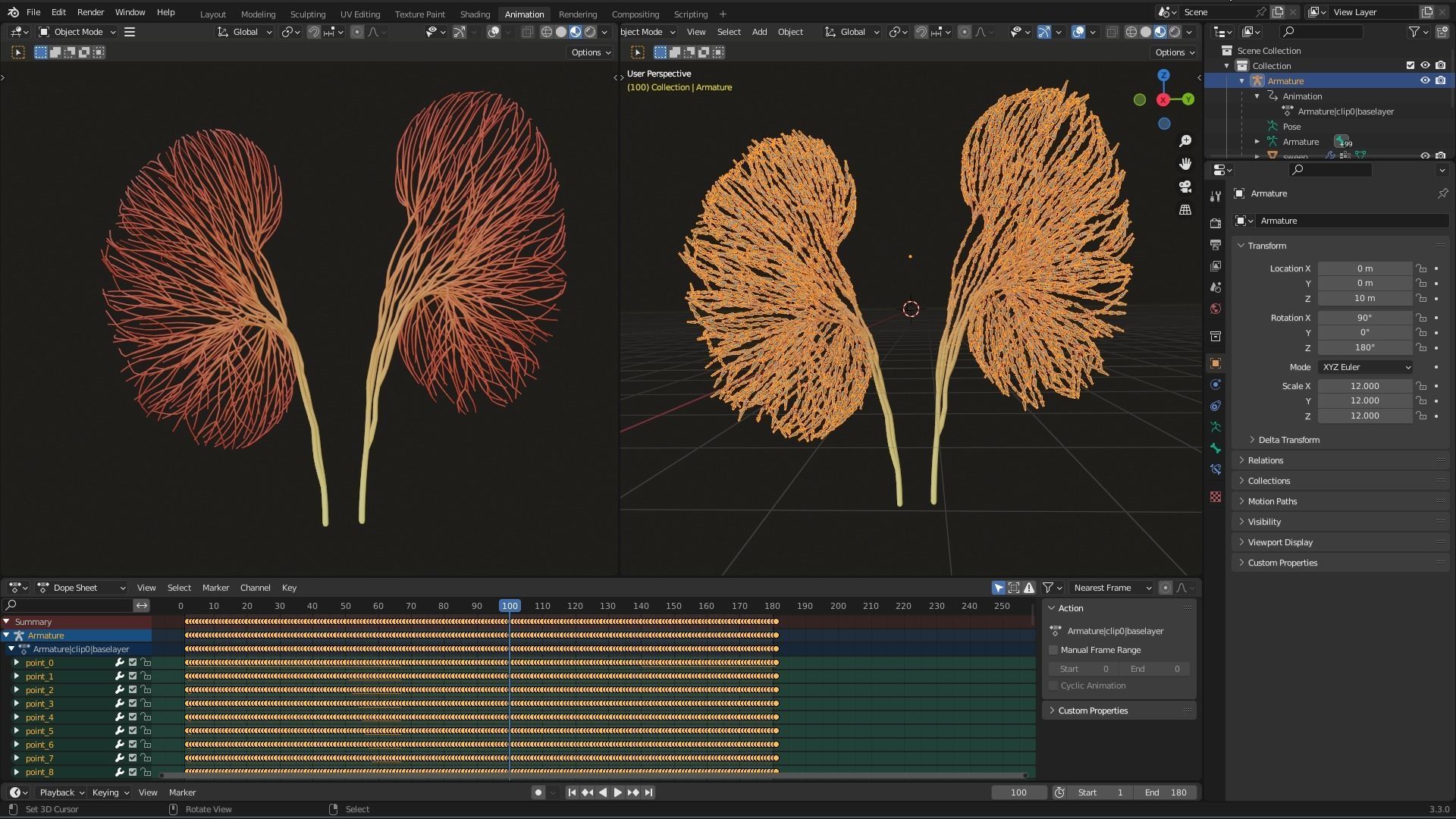 Human kidney made out of lines Unrolling growing animation 3D model_7