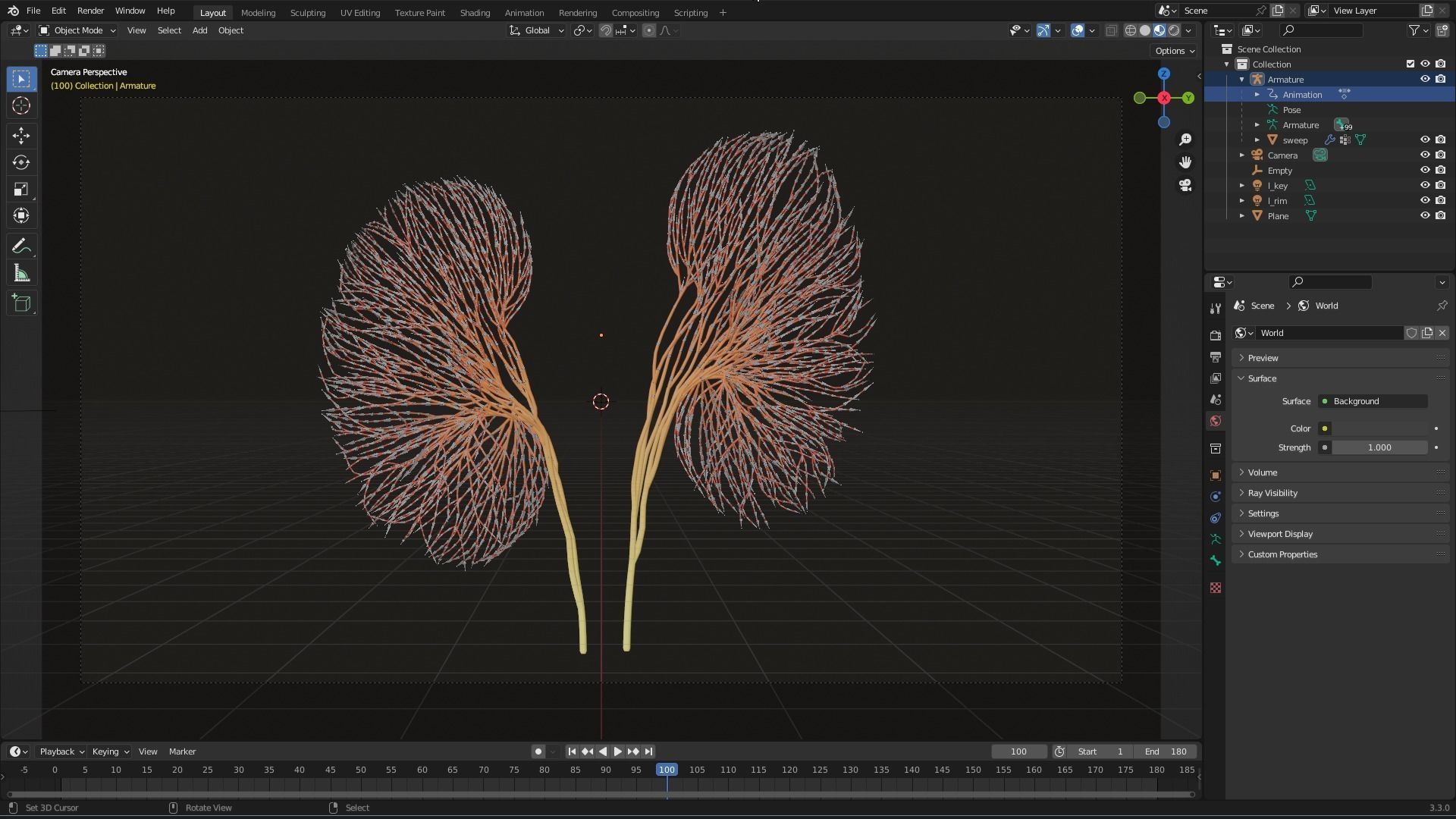 Human kidney made out of lines Unrolling growing animation 3D model_6