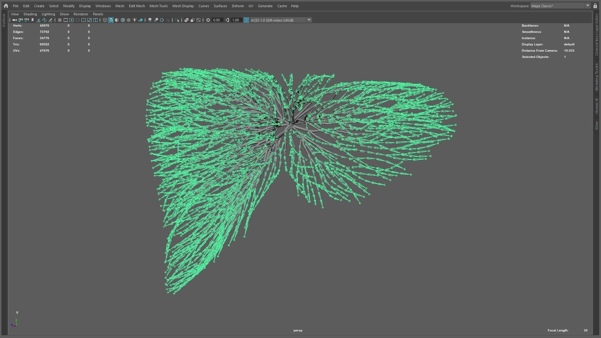 Human liver made out of lines Unrolling growing animation 3D model_11