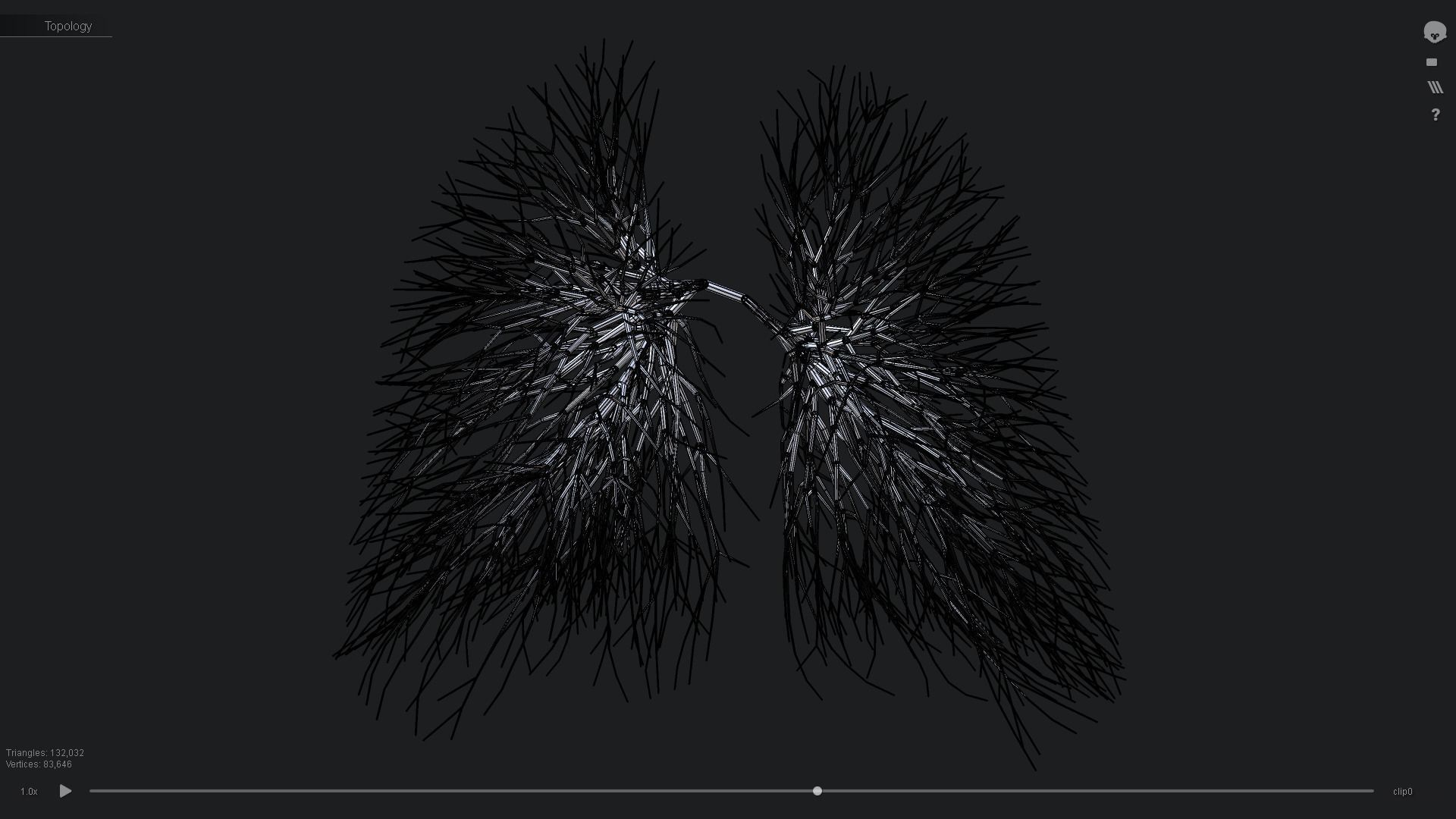 Human lungs made out of lines Unrolling growing animation 3D model_4