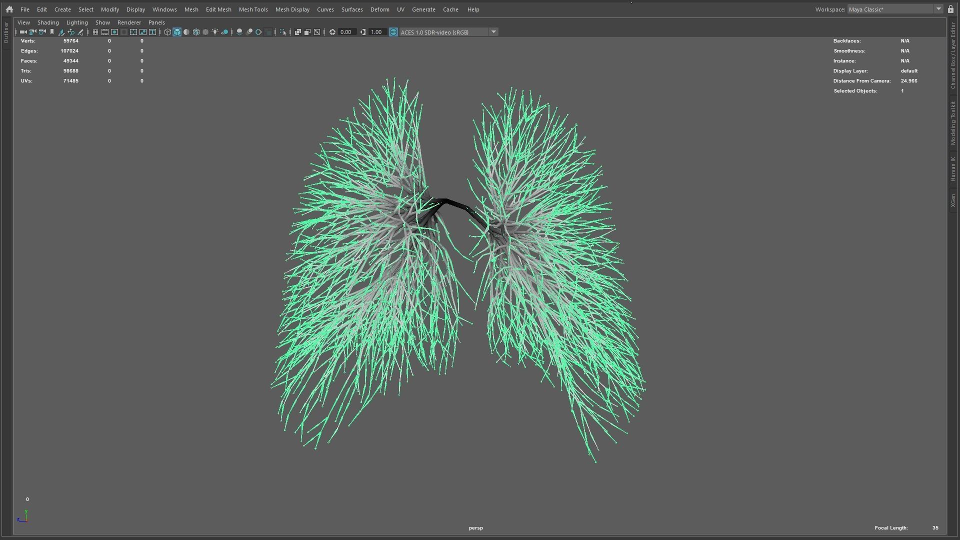 Human lungs made out of lines Unrolling growing animation 3D model_11