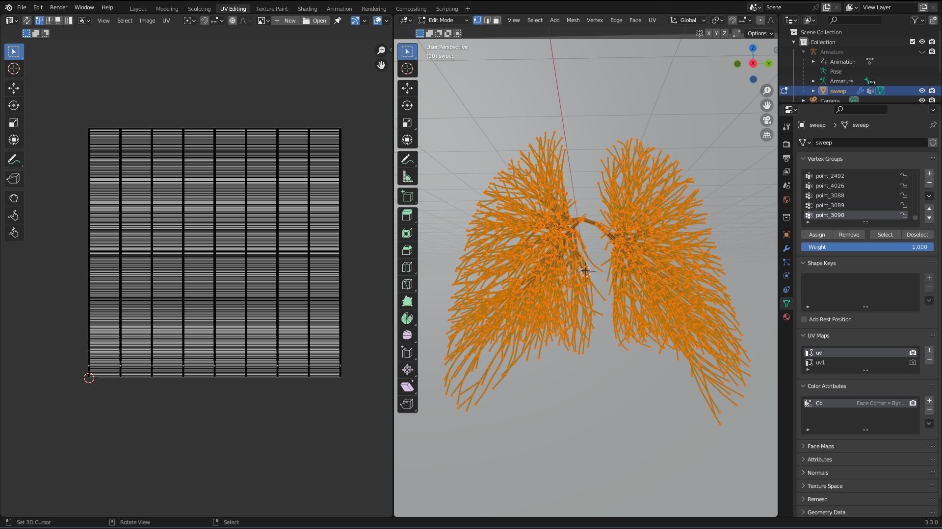 Human lungs made out of lines Unrolling growing animation 3D model_9