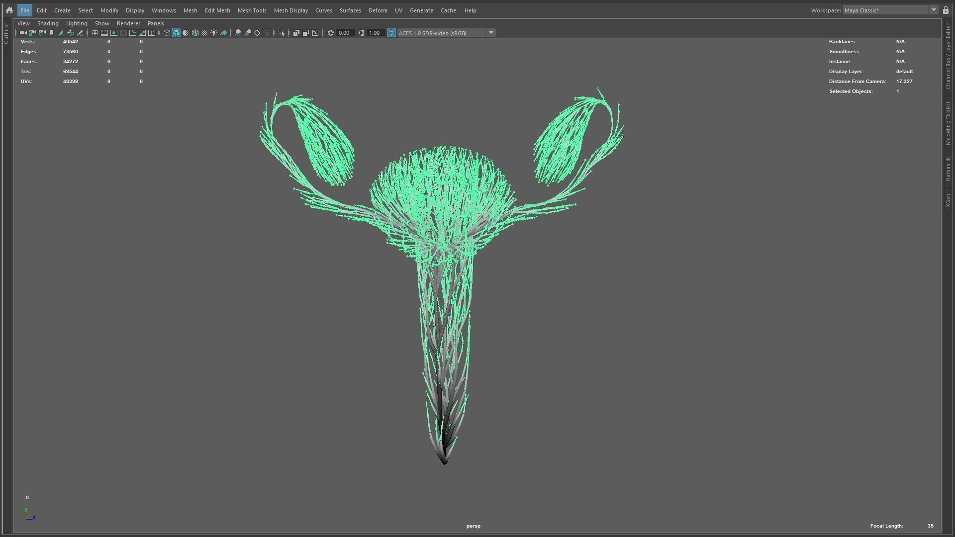 Human Uterus made out of lines Unrolling growing animation 3D model_11