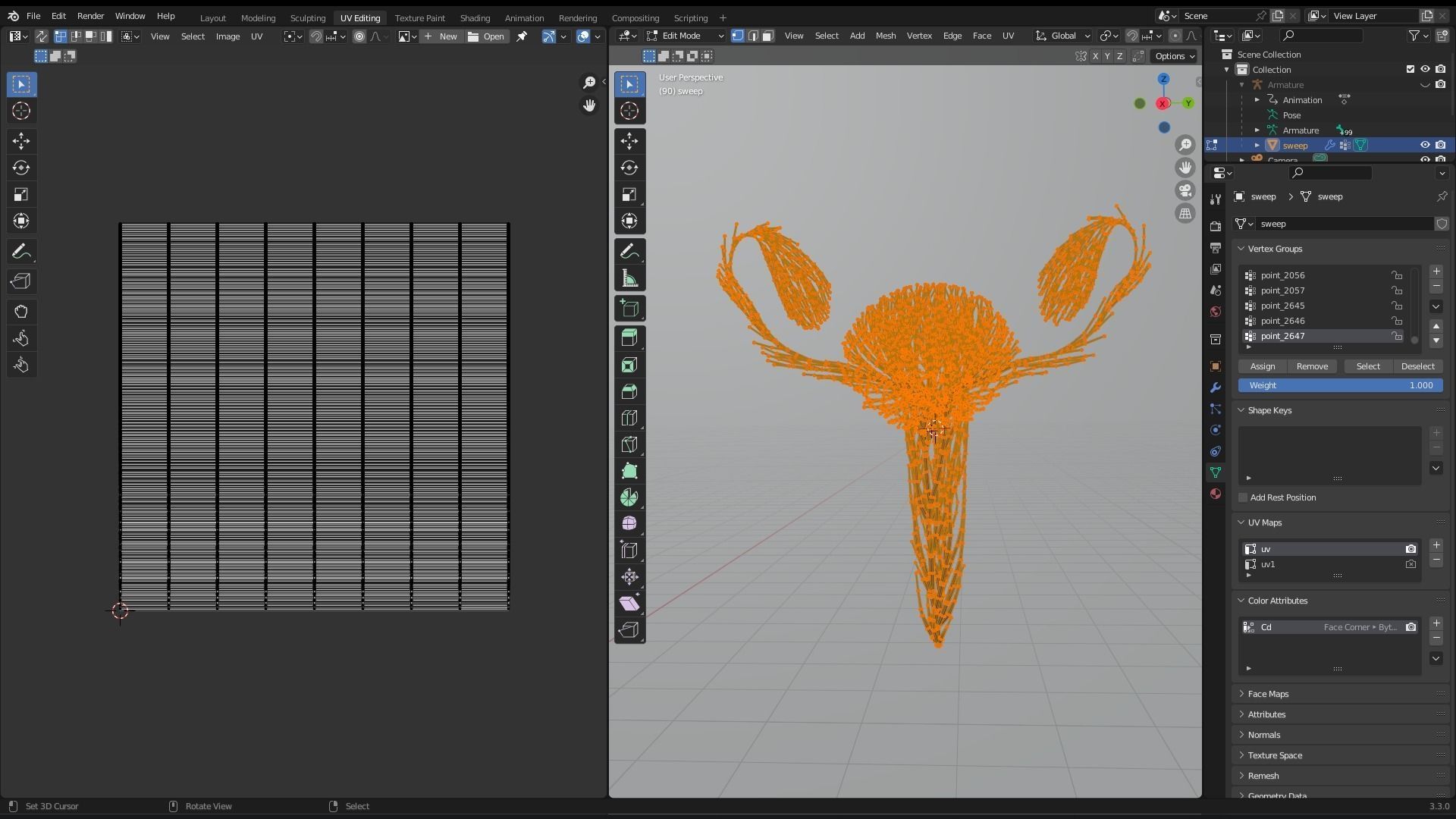 Human Uterus made out of lines Unrolling growing animation 3D model_9