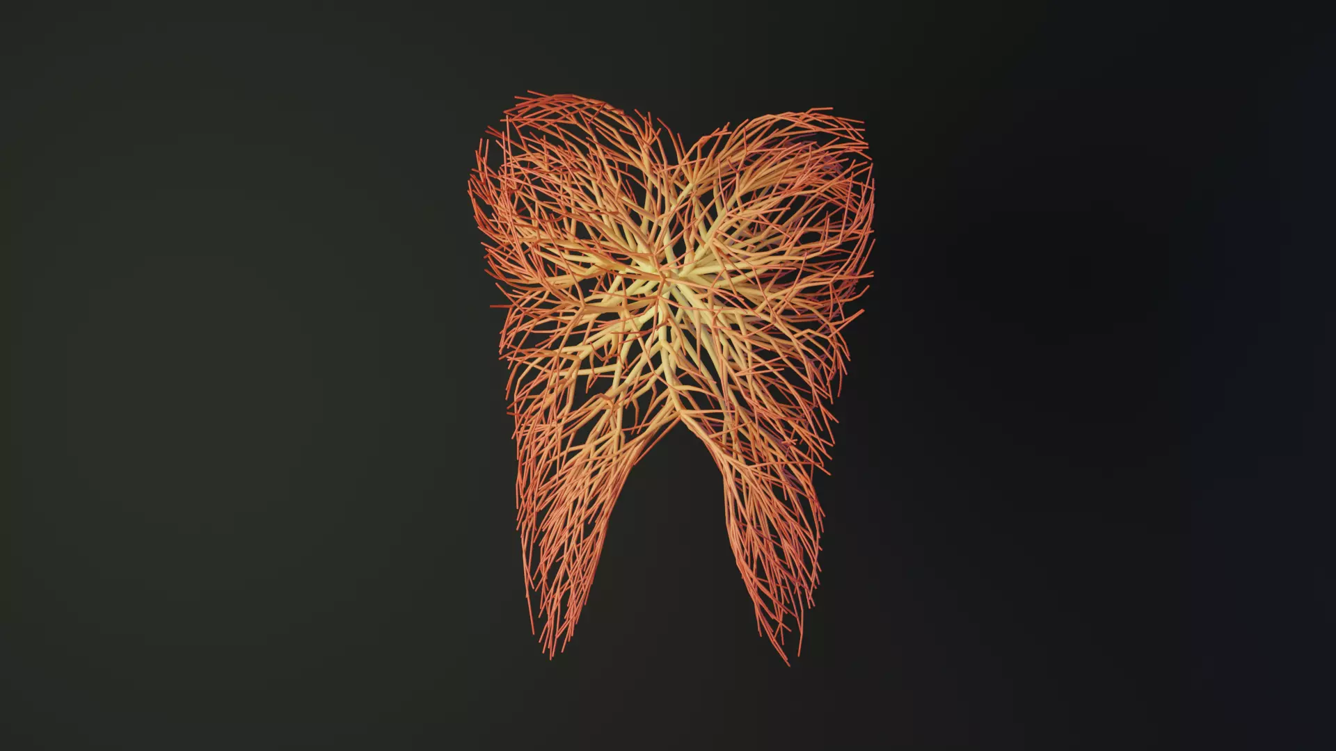 Human tooth made out of lines Unrolling growing animation 3D model_0