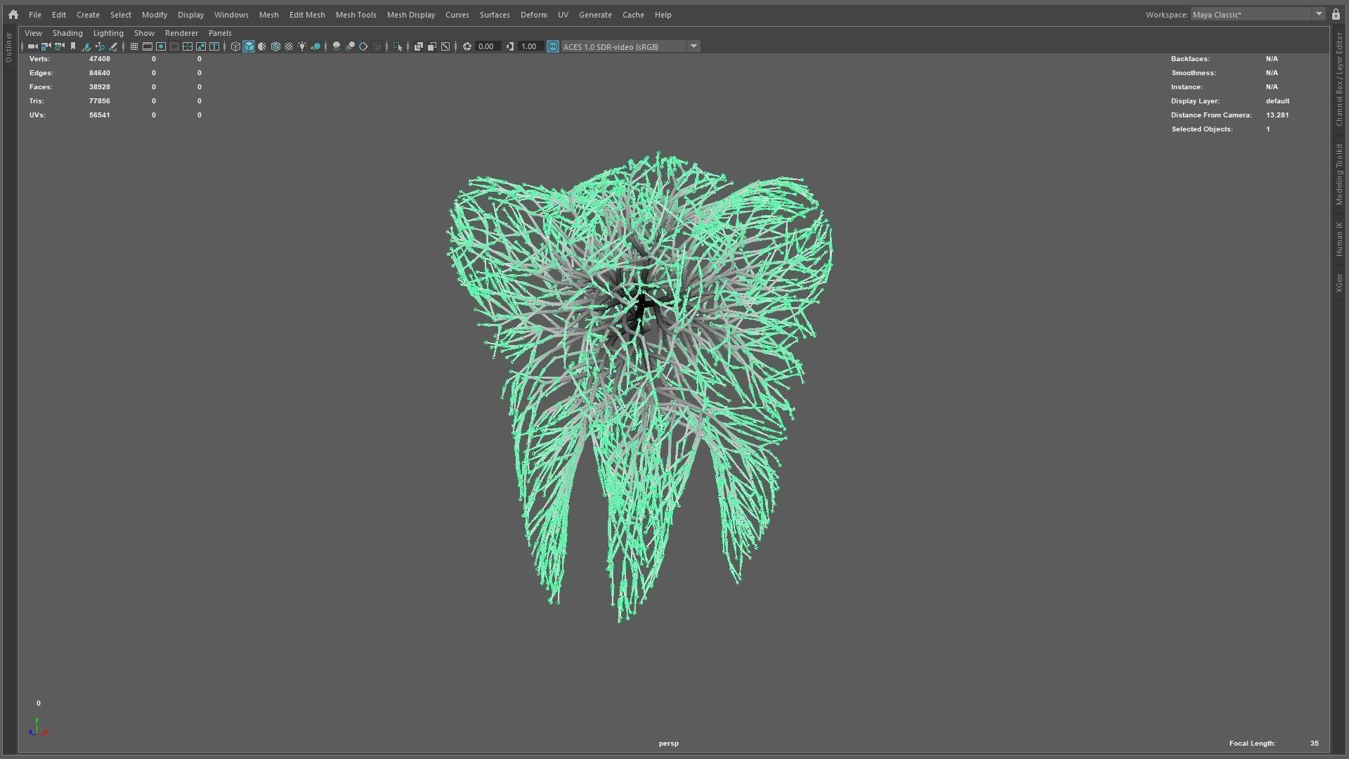 Human tooth made out of lines Unrolling growing animation 3D model_11