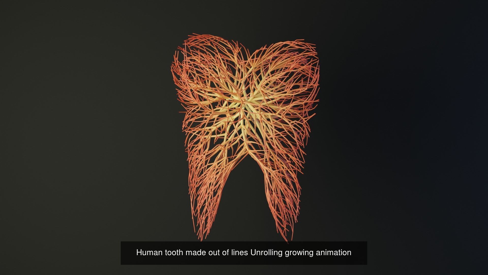 Human body parts made out of lines unrolling growing animation 3D Model Collection_39