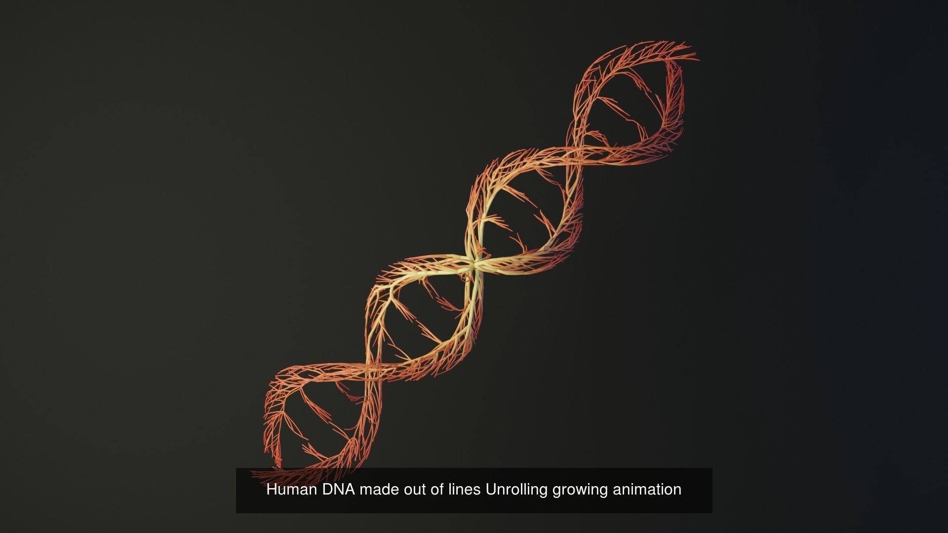 Human body parts made out of lines unrolling growing animation 3D Model Collection_28