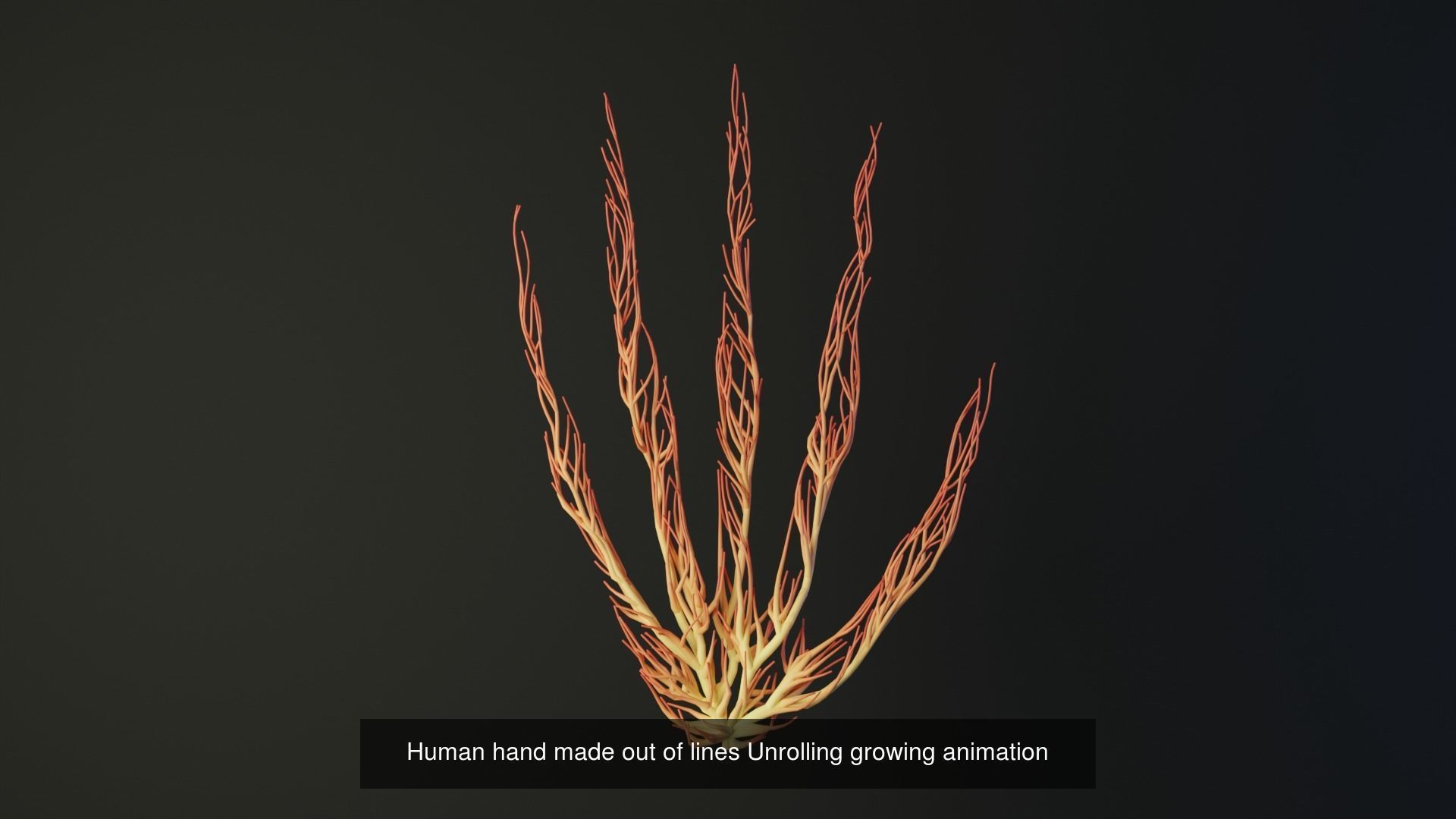 Human body parts made out of lines unrolling growing animation 3D Model Collection_30