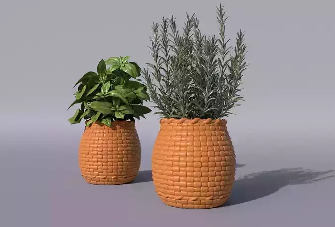 3D Printable Basket Planter and Tray
