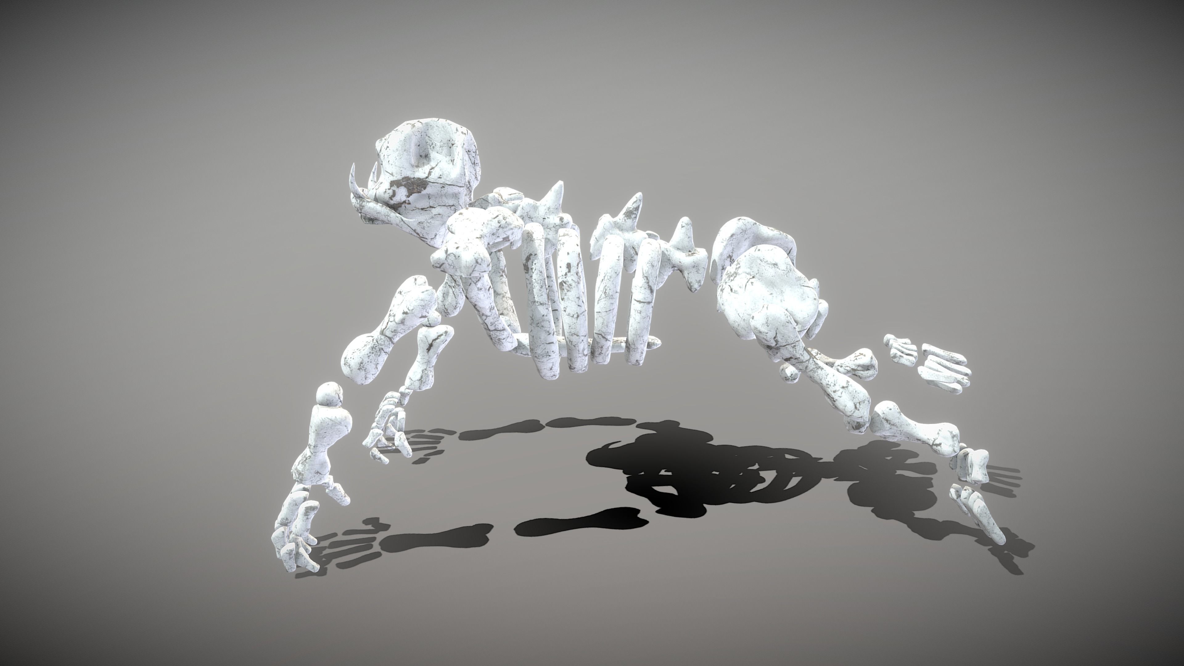 Garilla Skeleton Low-poly 3D model_10