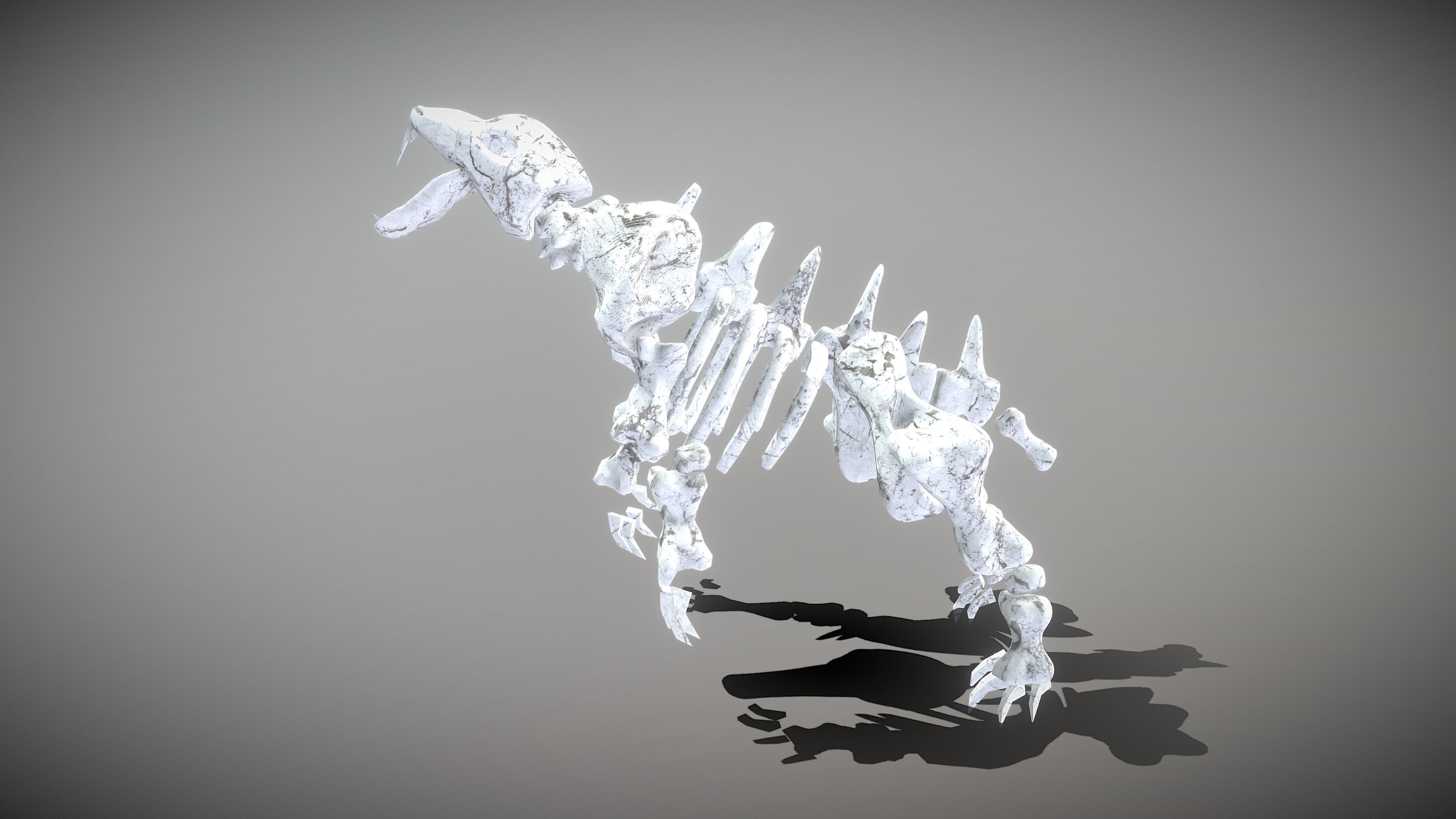 Bear Skeleton Low-poly 3D model_9