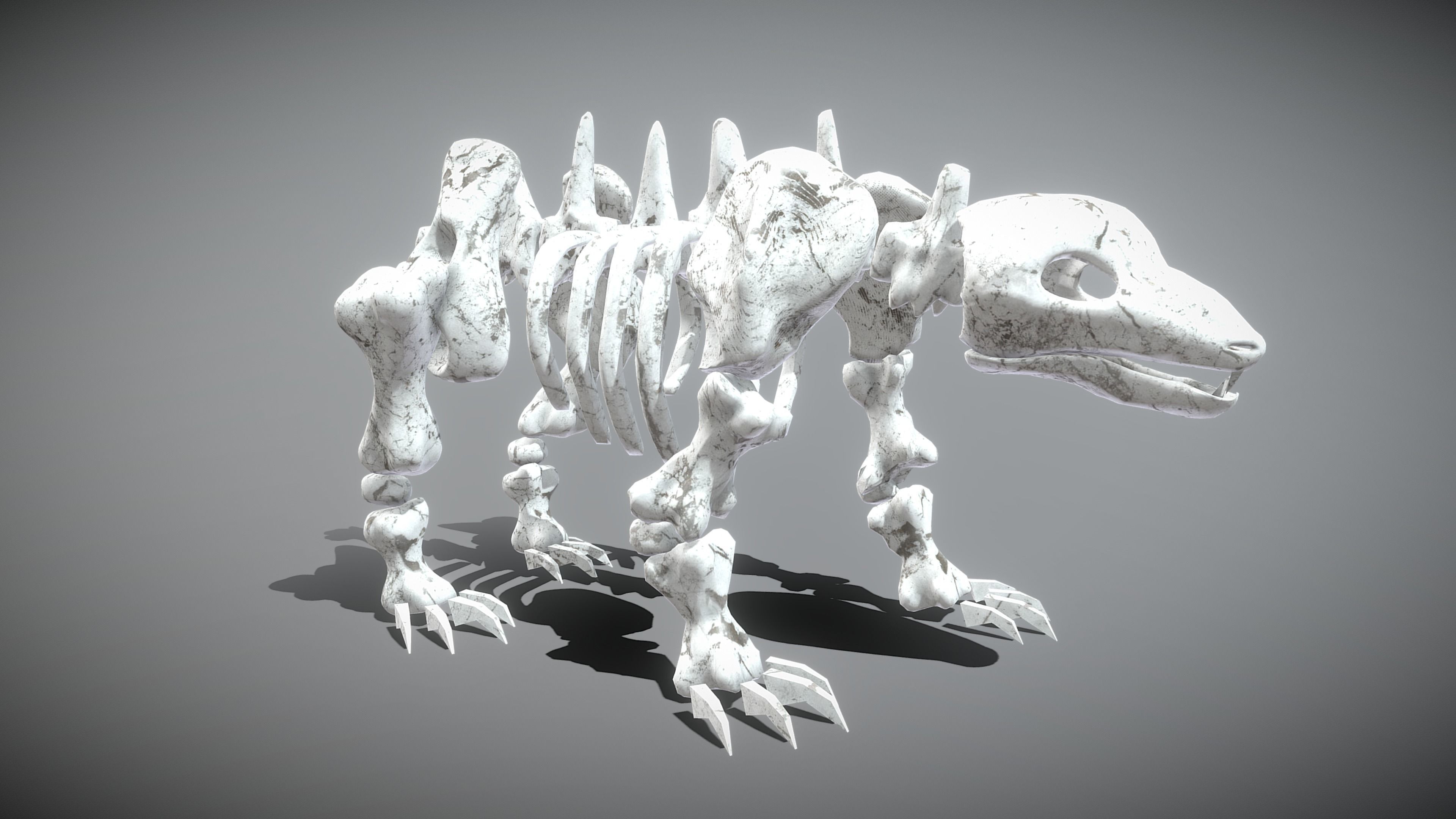 Bear Skeleton Low-poly 3D model_7