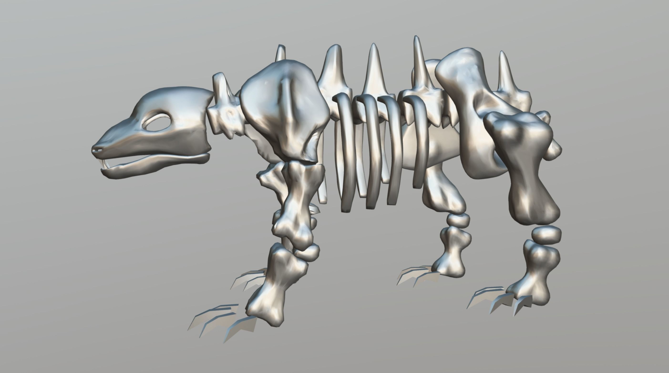 Bear Skeleton Low-poly 3D model_11
