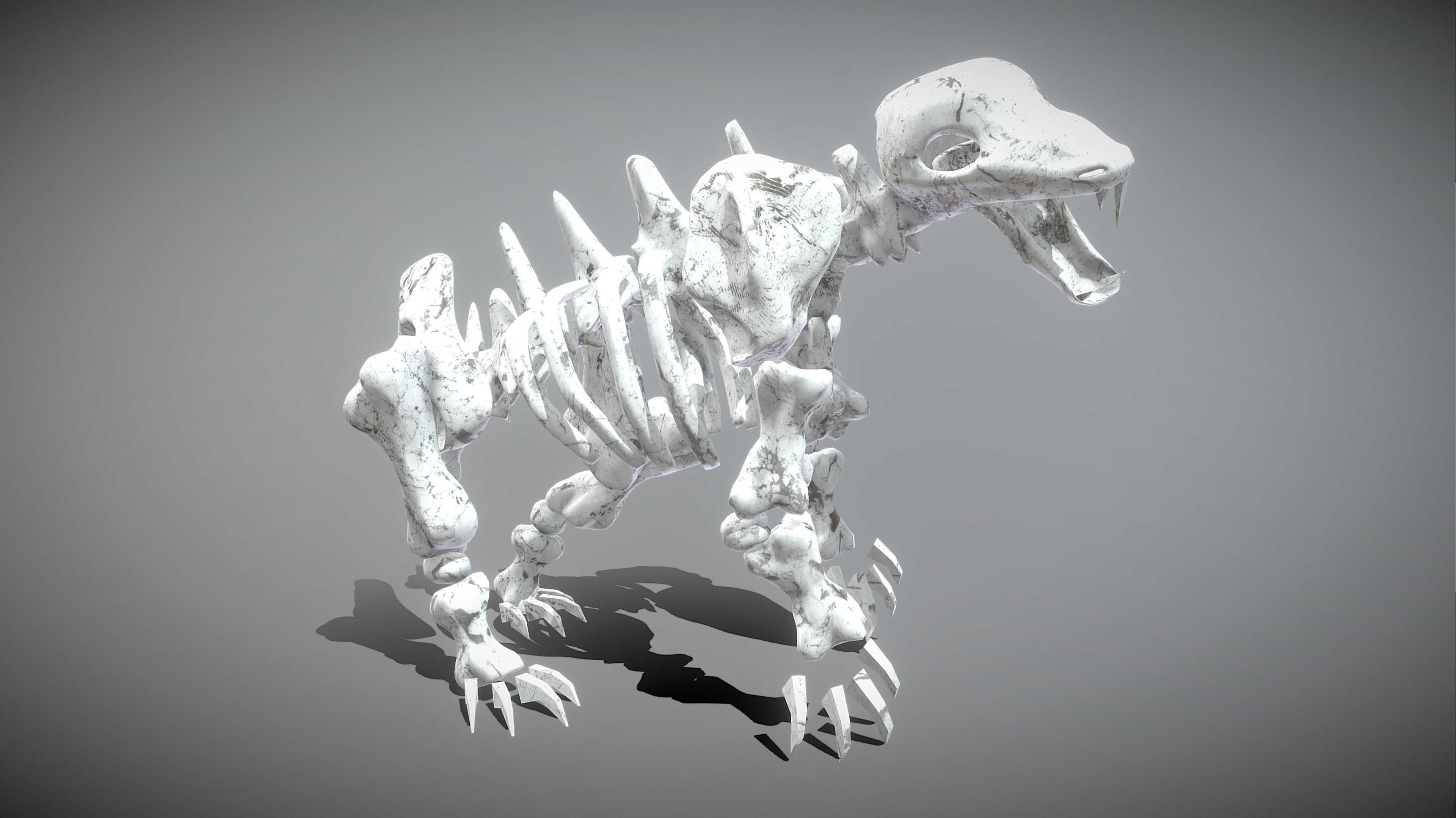 Bear Skeleton Low-poly 3D model_8