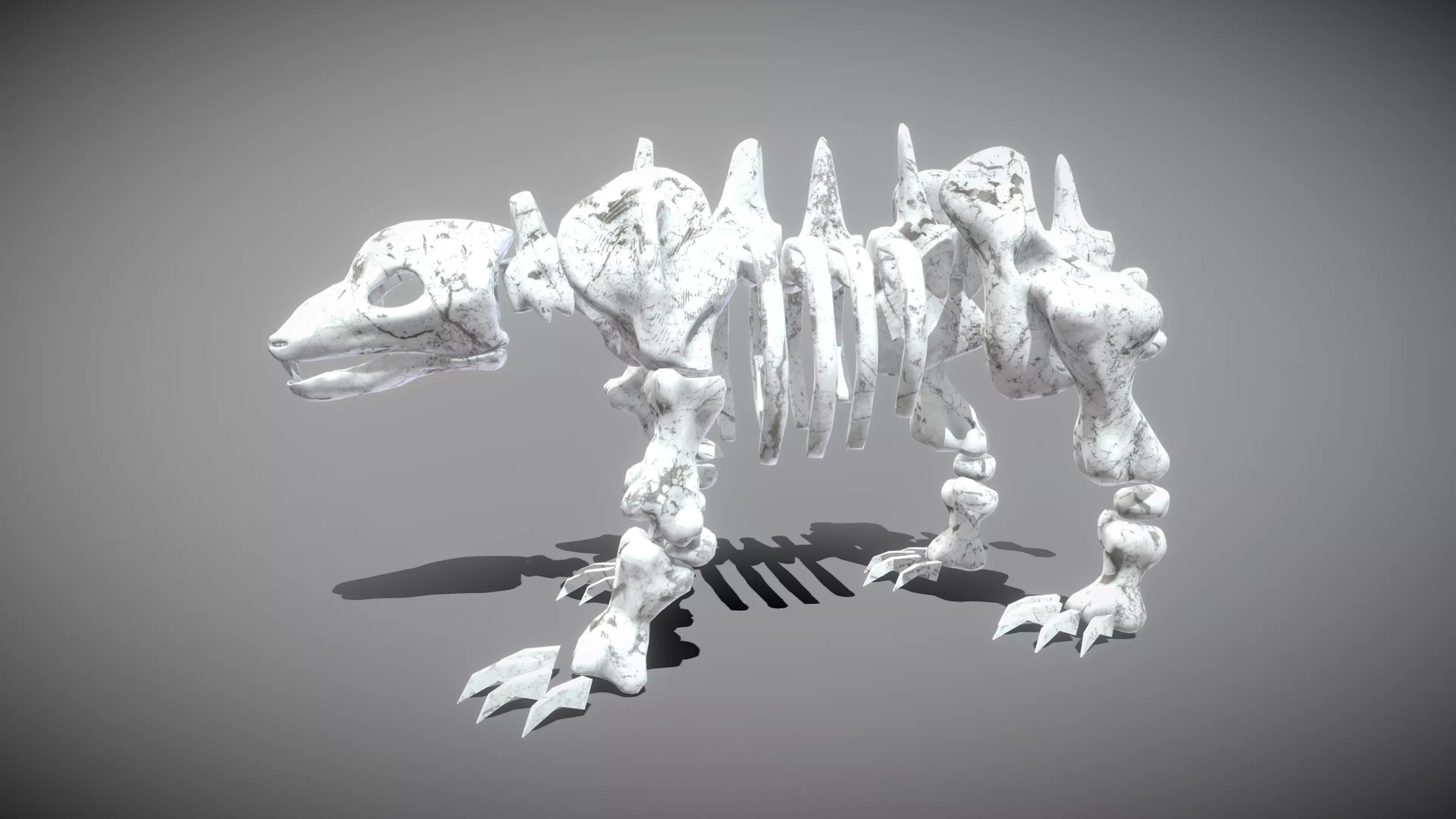 Bear Skeleton Low-poly 3D model_0