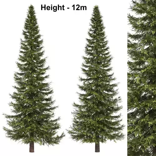 Land scape tree 1 3D model