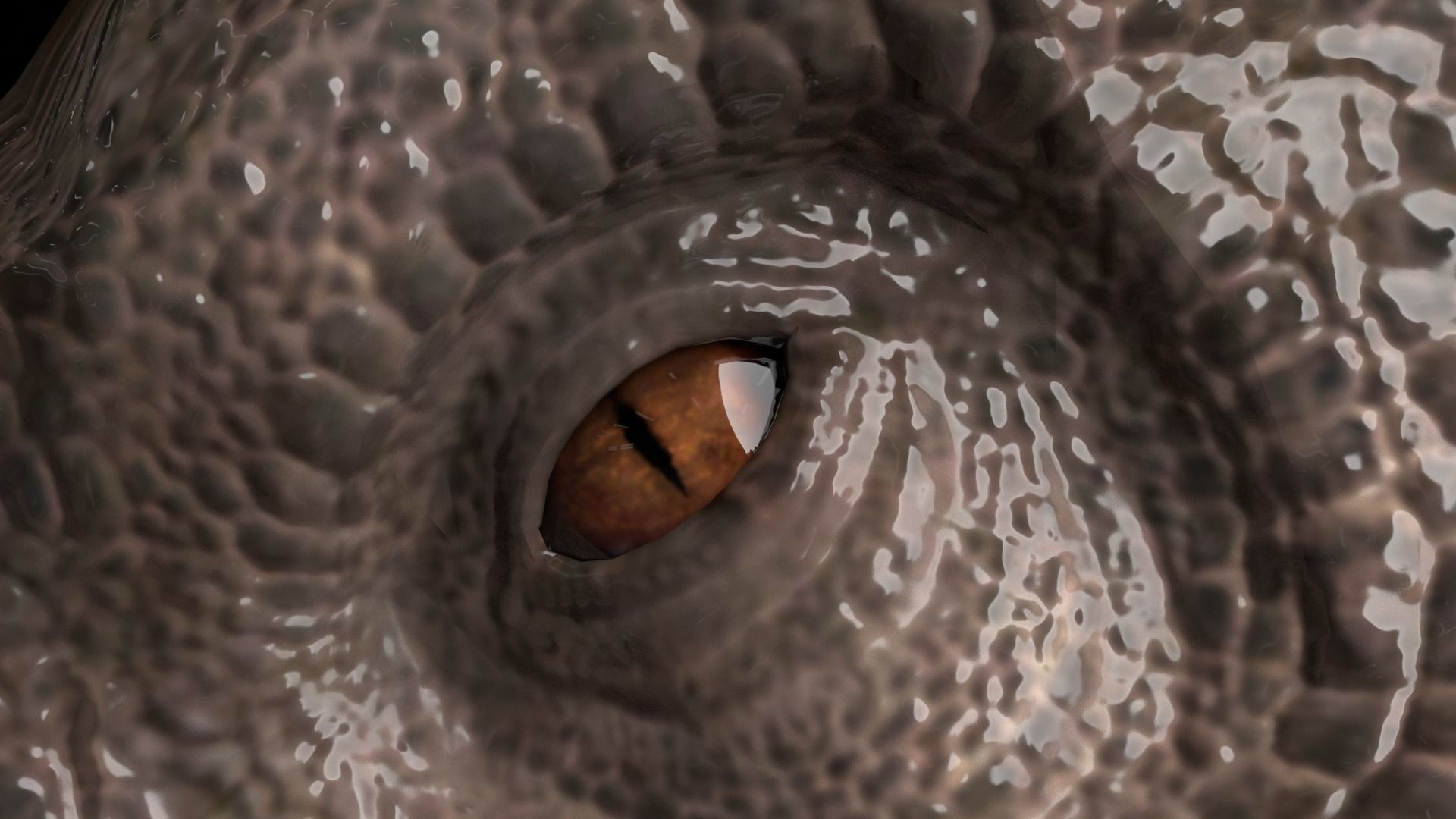 Indominus Rex - Irex Low-poly 3D model_8