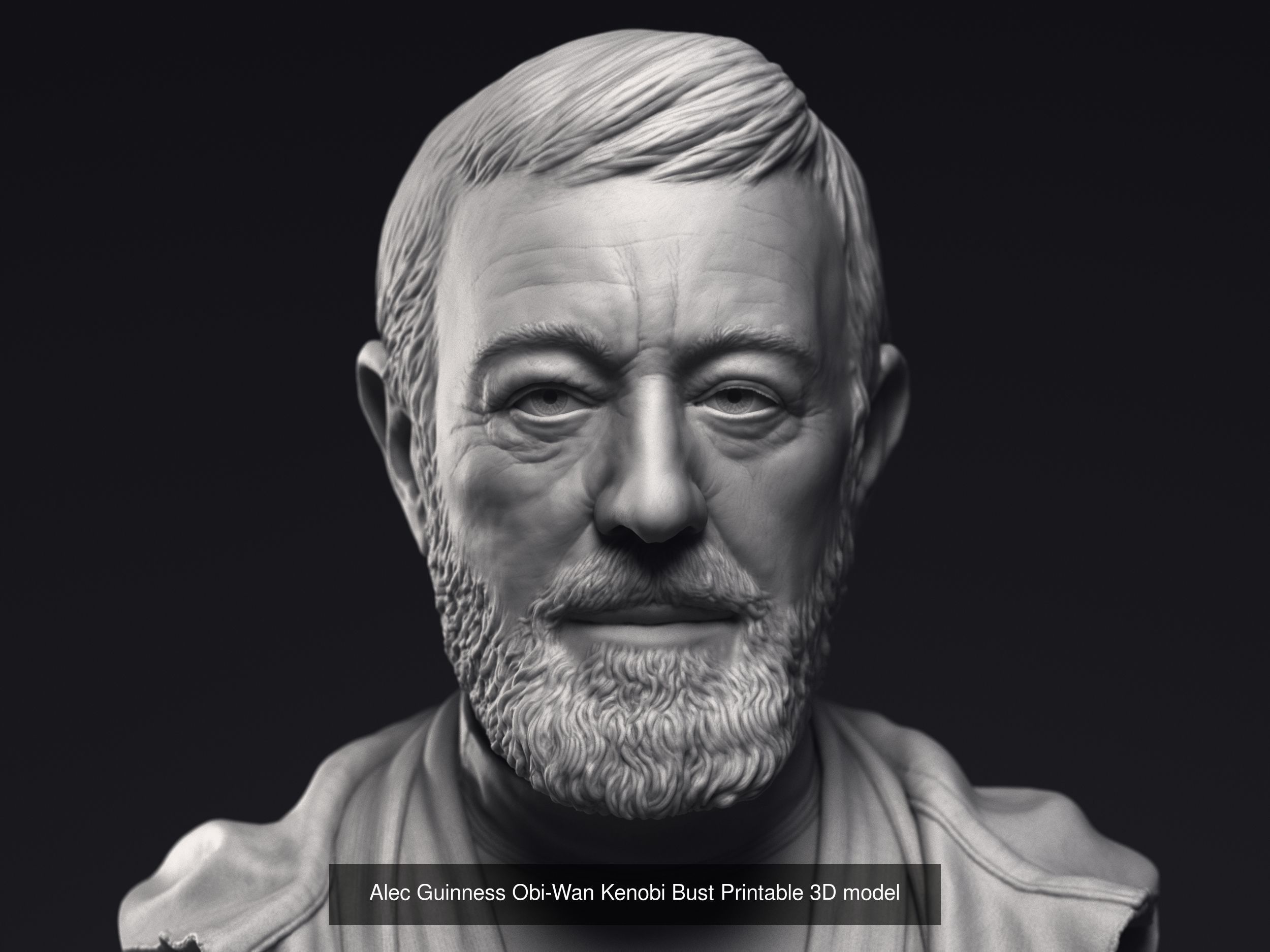 Leia Obi-Wan Han Solo and Luke 3d printable bust collection  _3