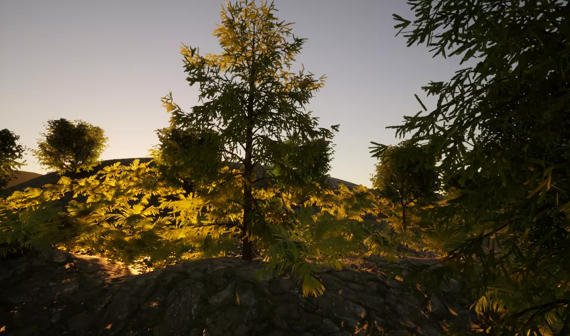 house forest with trees in sun Free 3D model_0