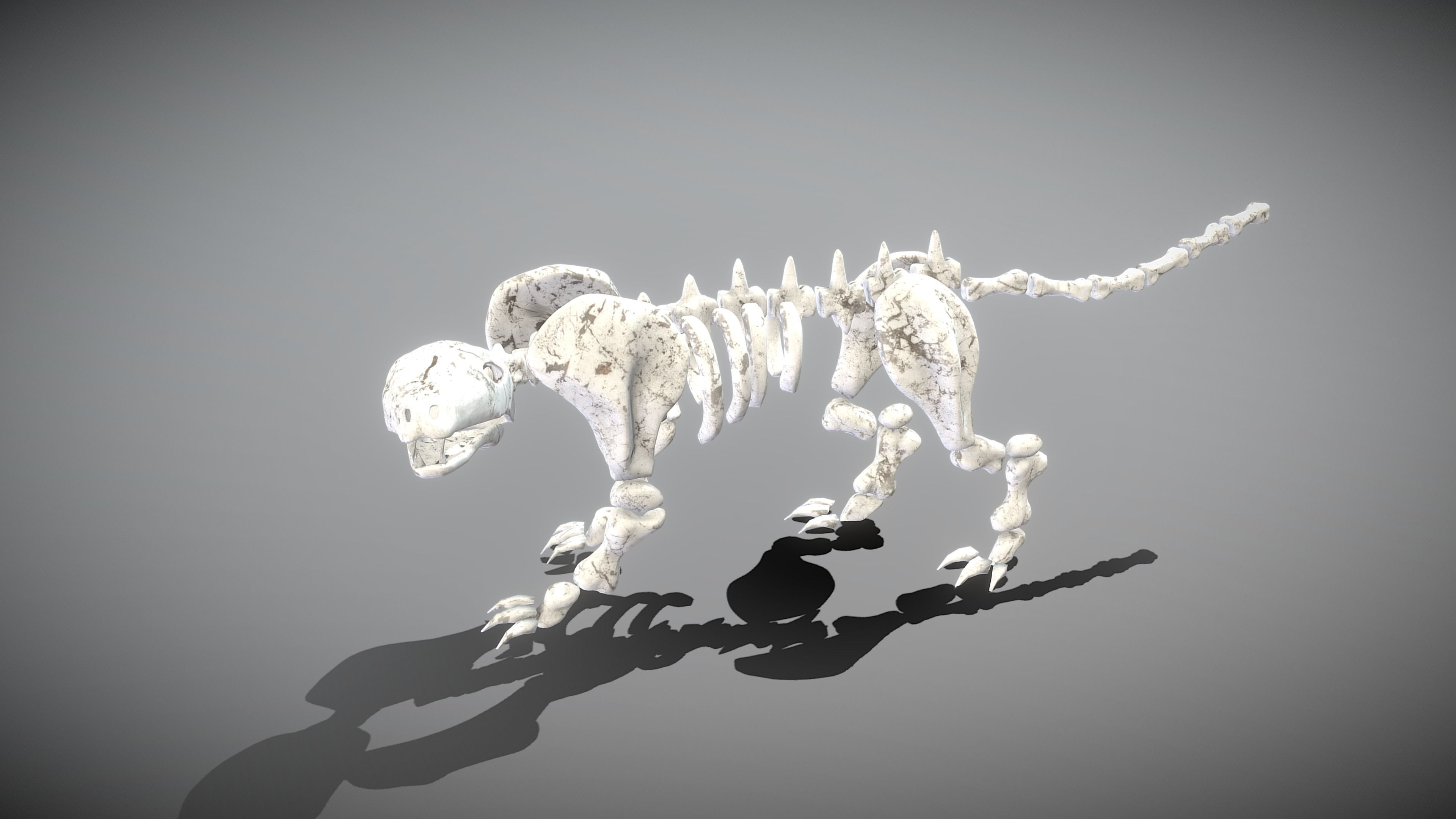 Leopard Skeleton Low-poly 3D model_9