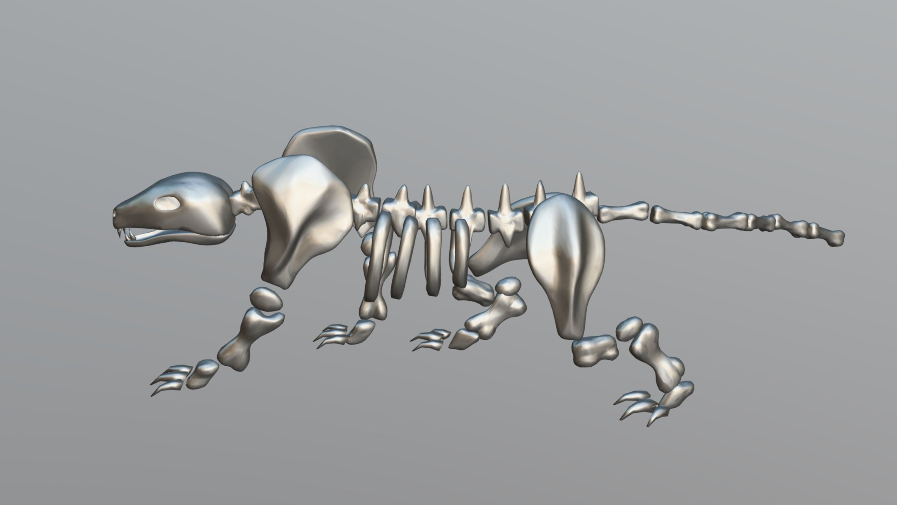 Leopard Skeleton Low-poly 3D model_13