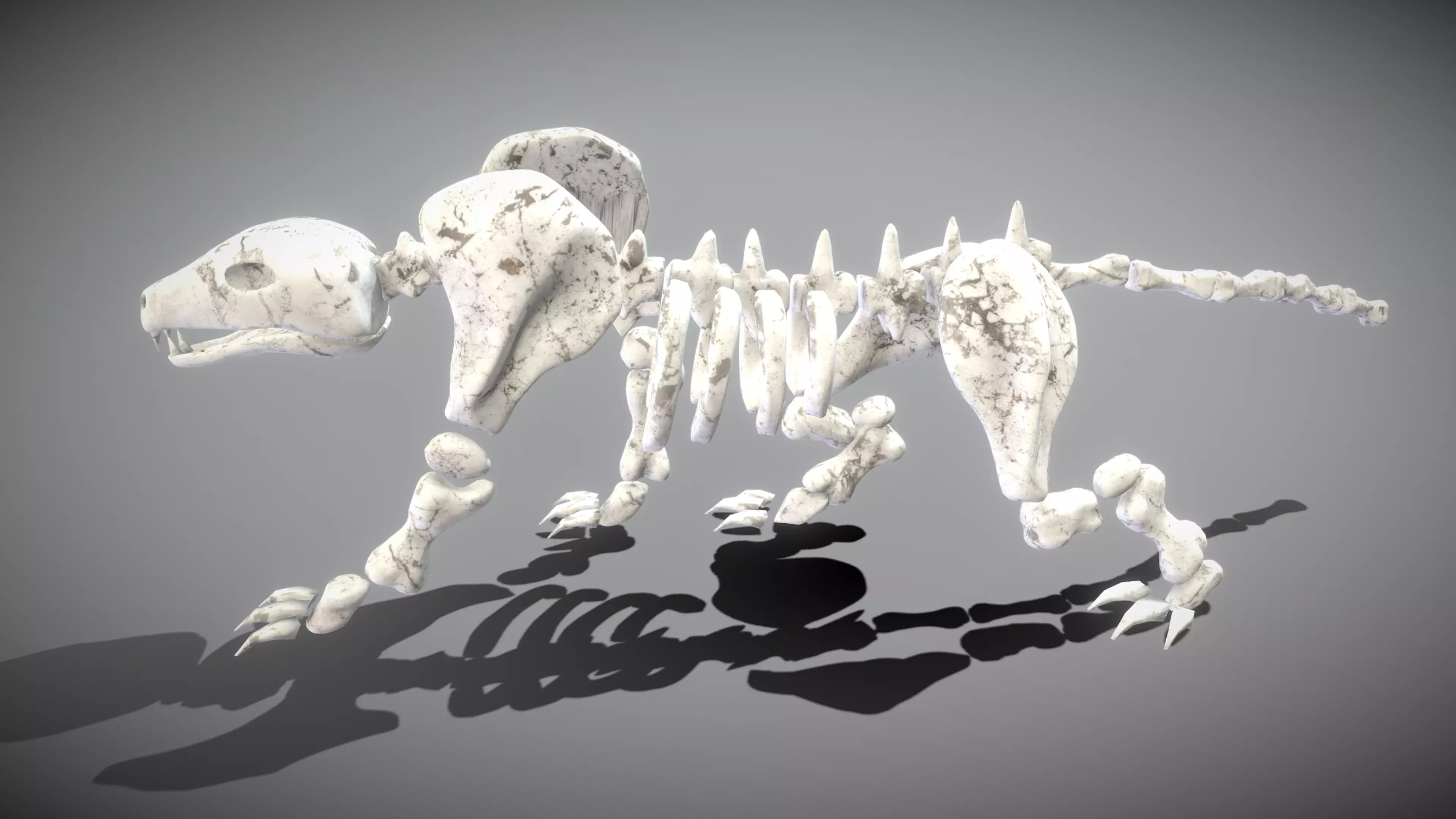 Leopard Skeleton Low-poly 3D model_0