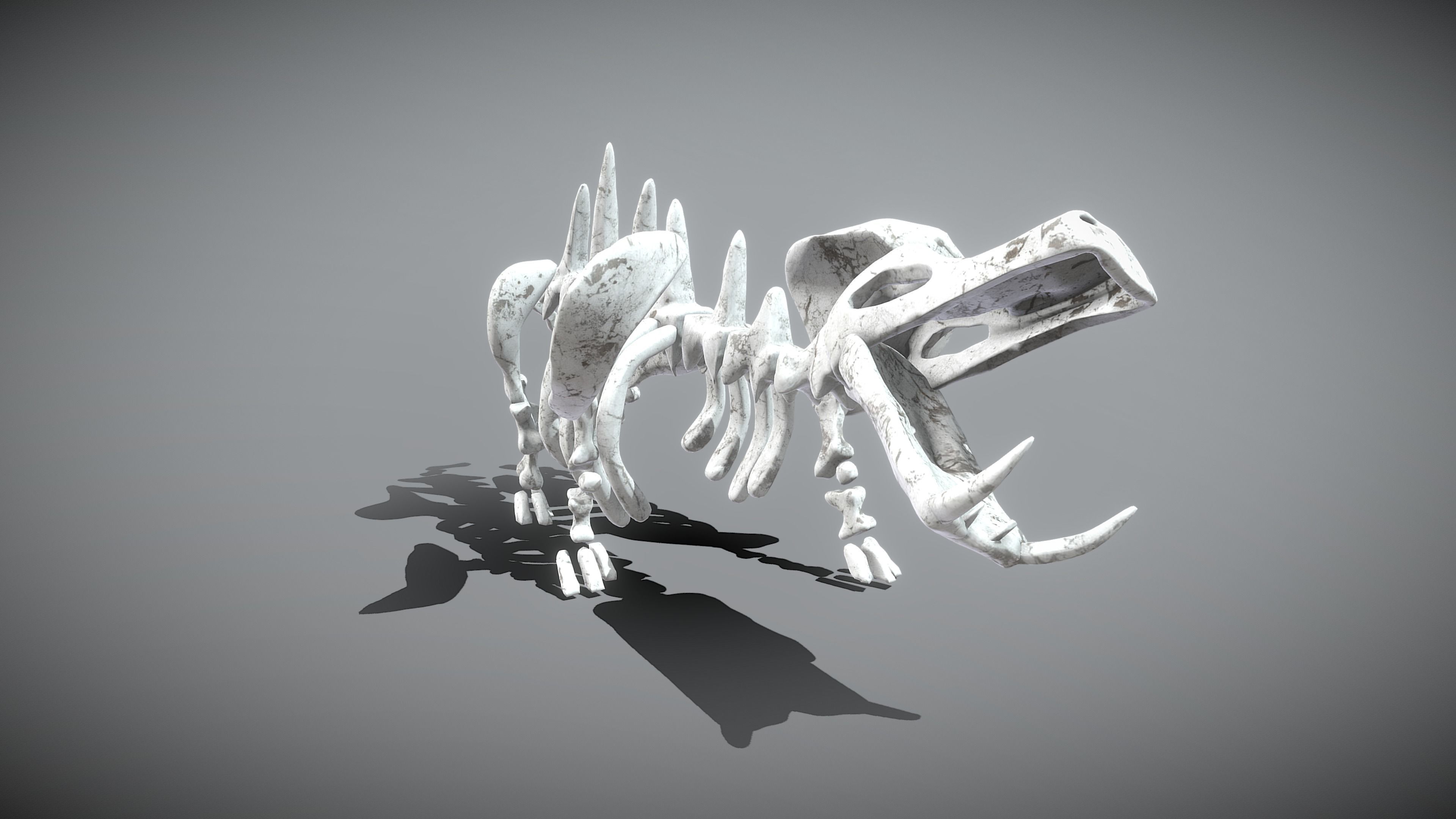 Hippo Skeleton Low-poly 3D model_9