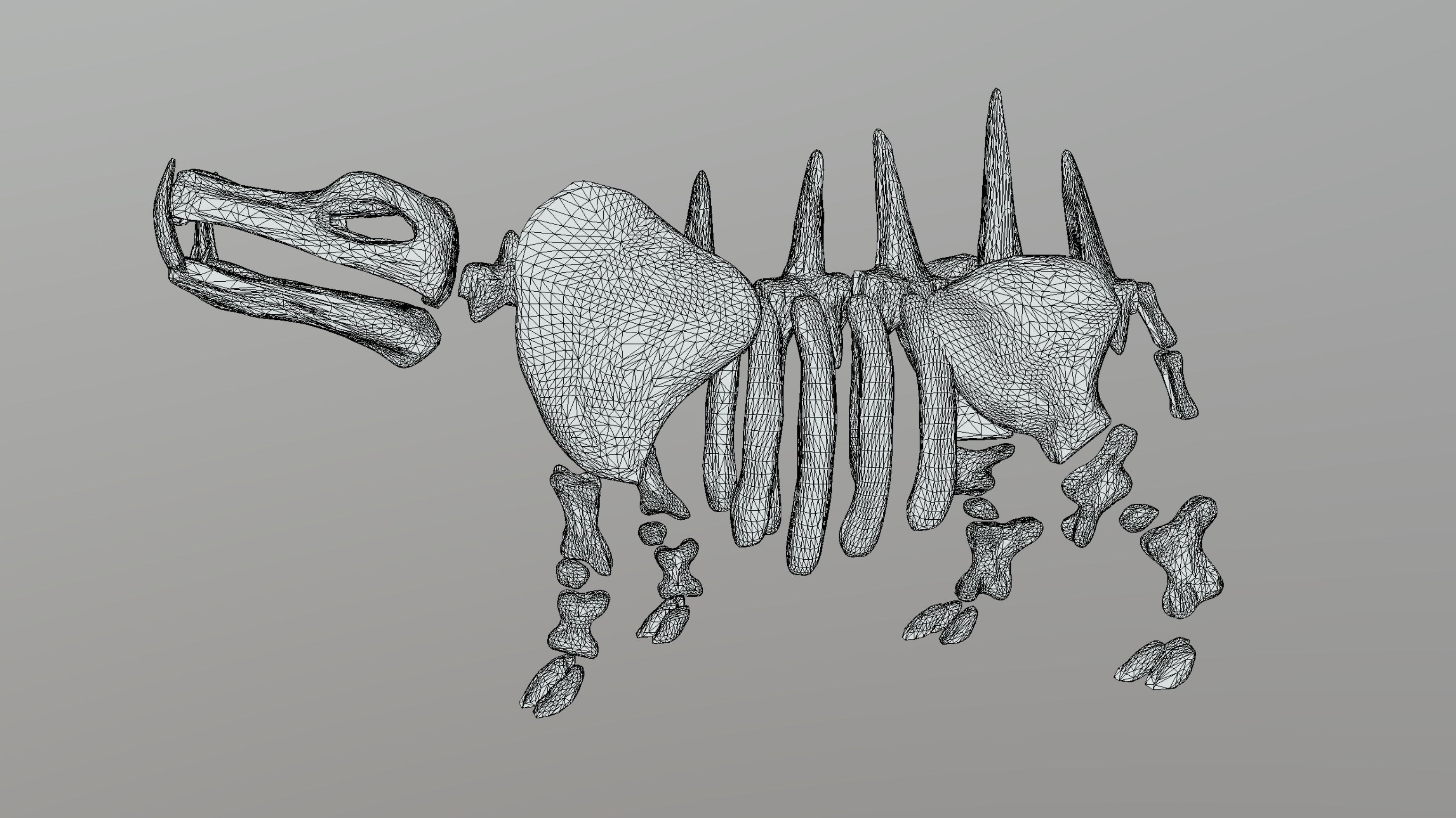 Hippo Skeleton Low-poly 3D model_12