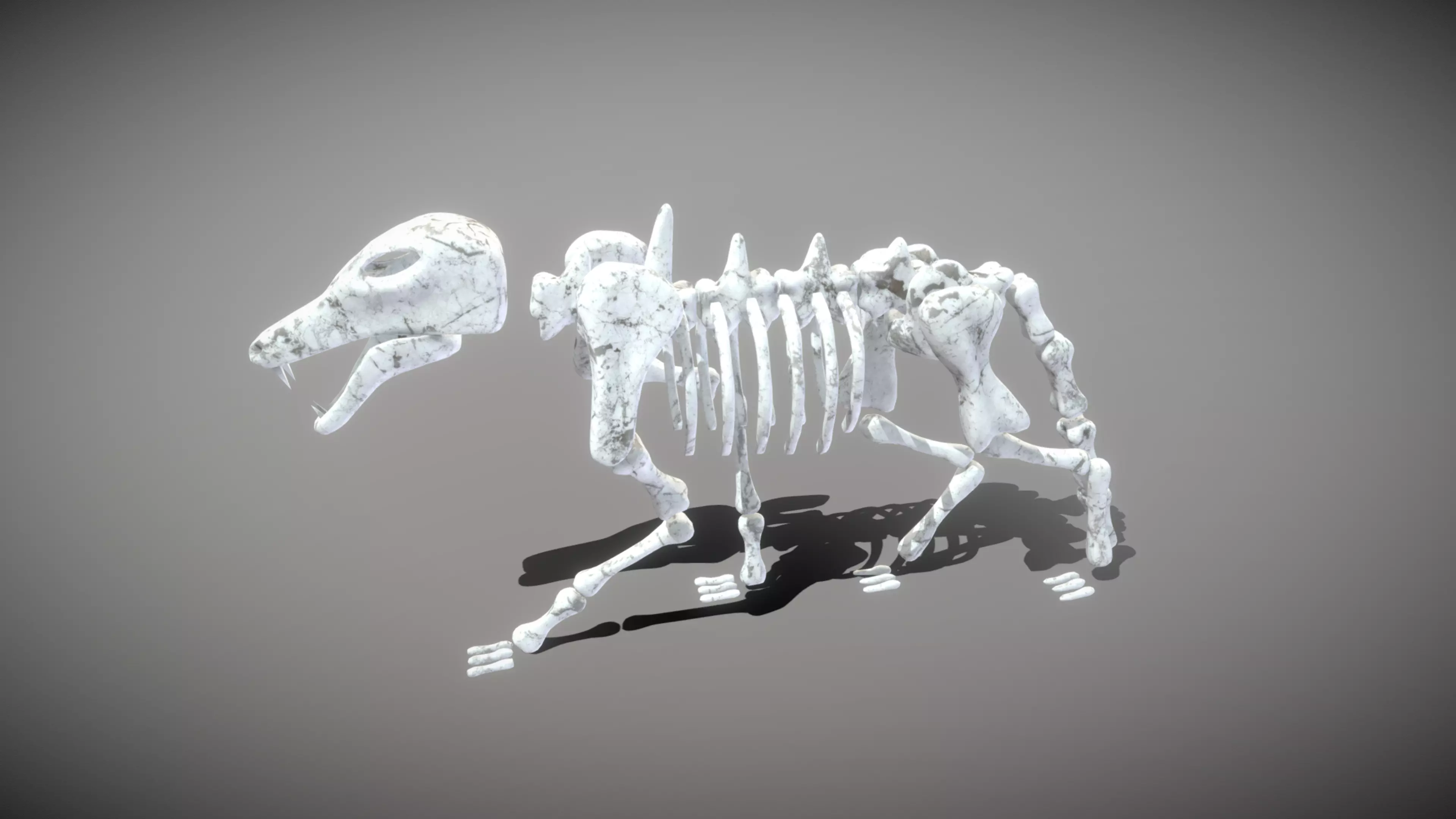Wolf Skeleton Low-poly 3D model_0