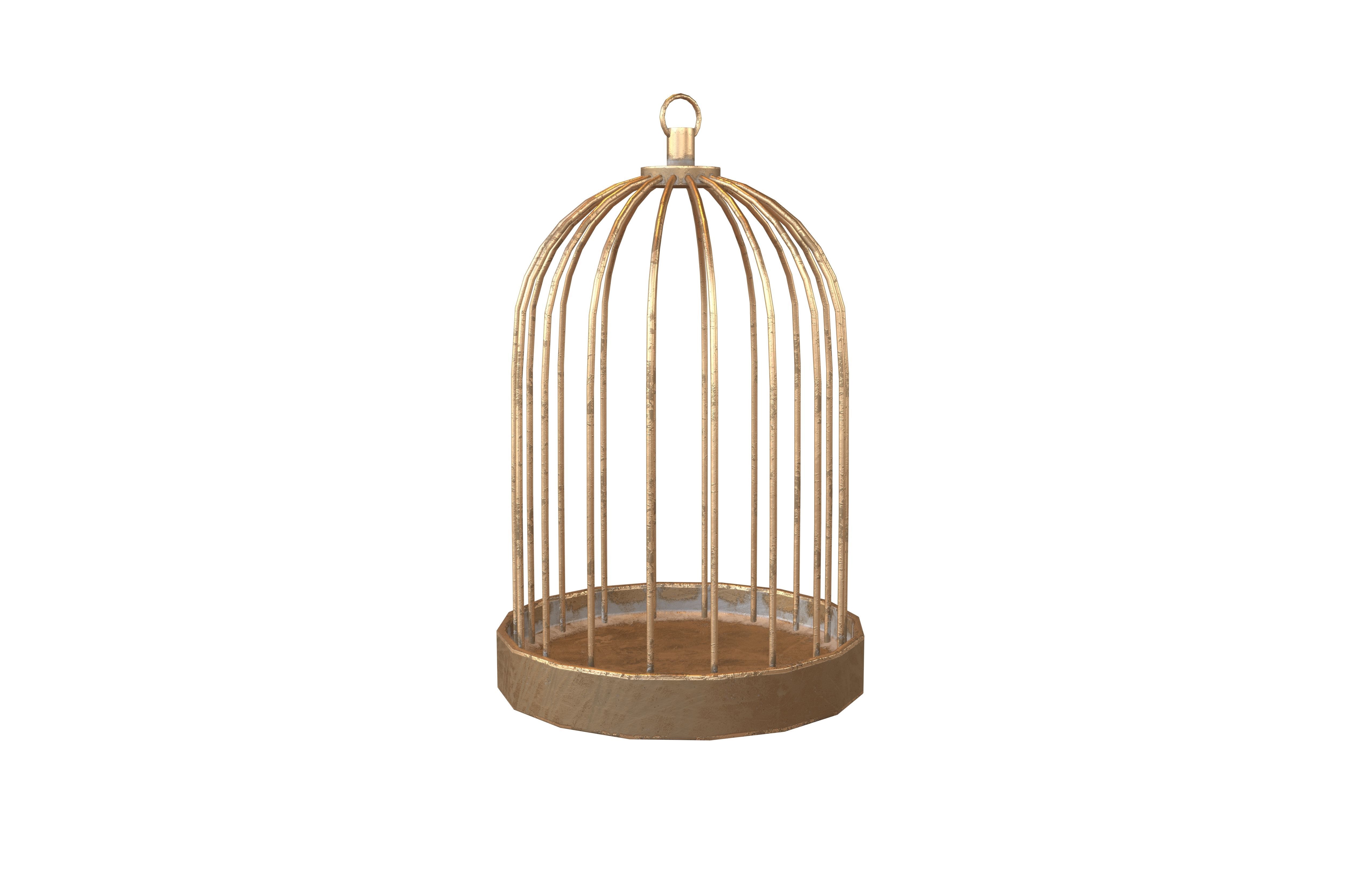 Bird Cage V1 001 Low-poly 3D model_1