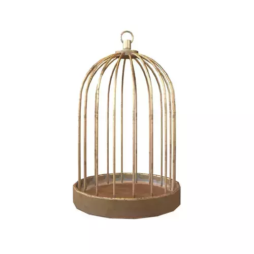 Bird Cage V1 001