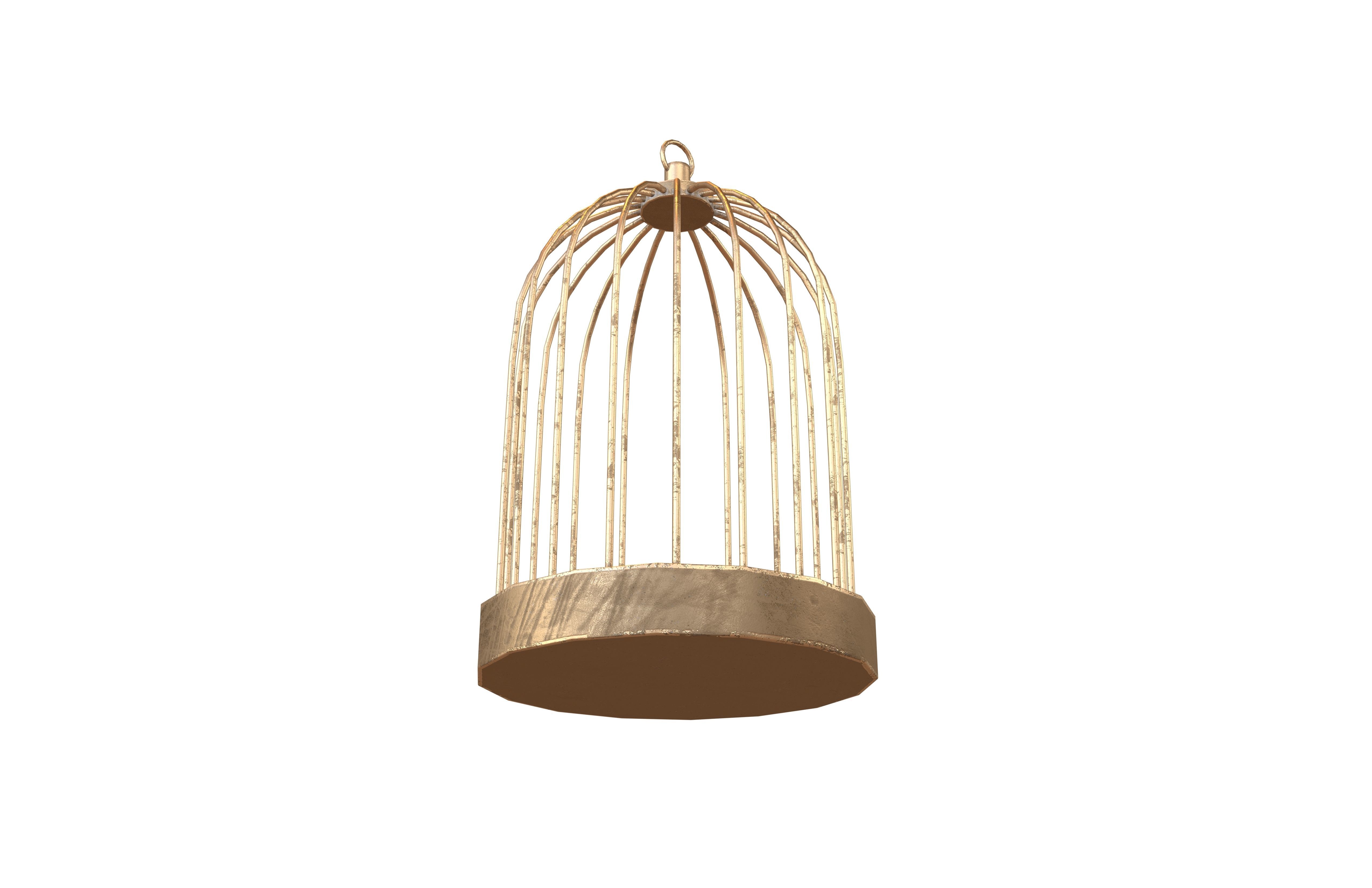 Bird Cage V1 001 Low-poly 3D model_3