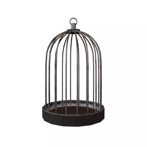 Bird Cage V1 002
