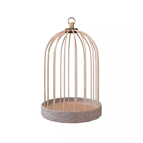 Bird Cage V1 003