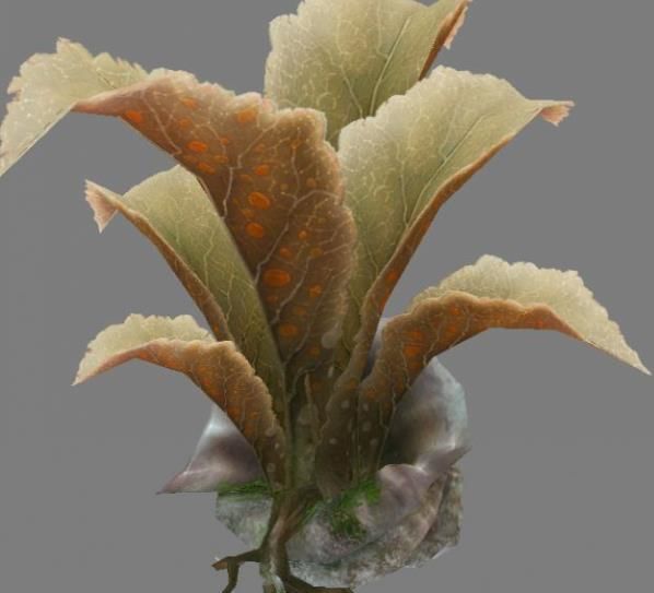 Low Poly Tree Set with vines hanging from it 3D model_5